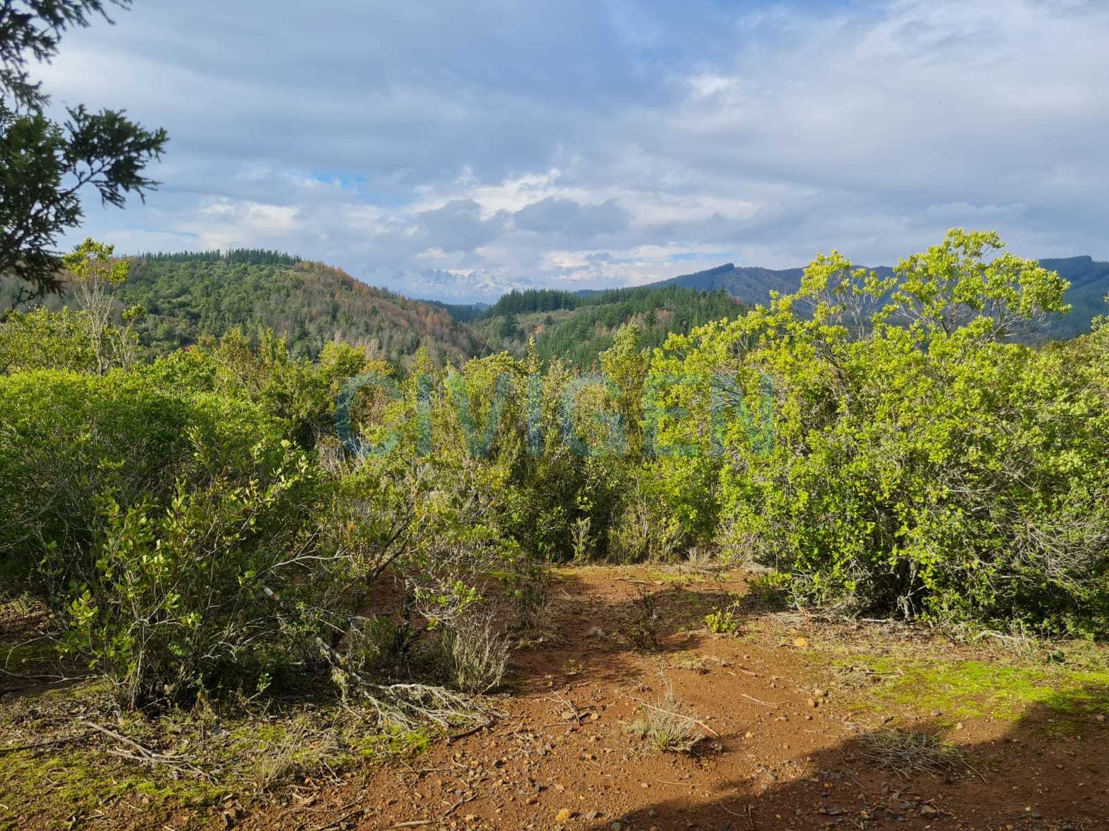 Venta Parcela Linares - Maule