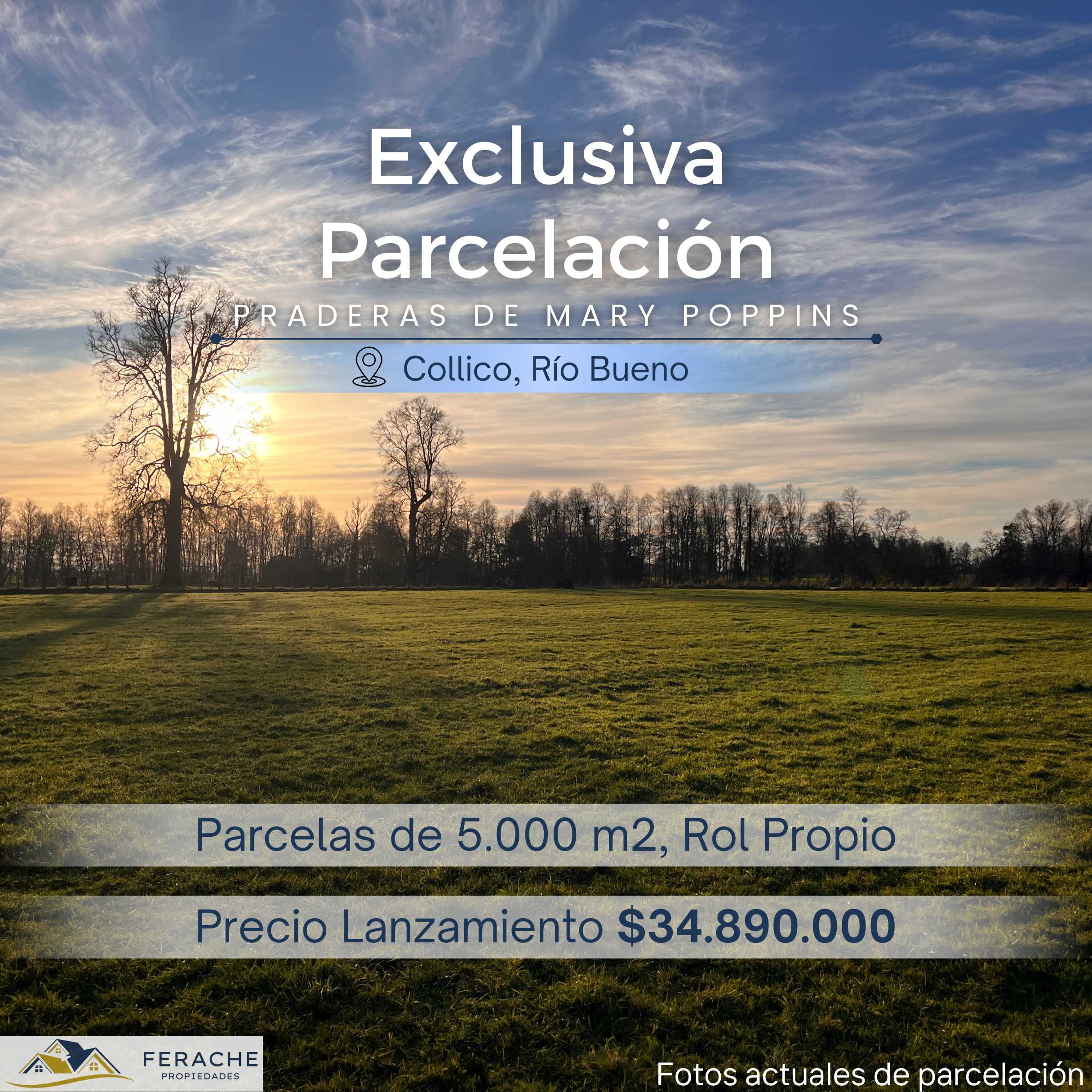 Venta Parcela Río Bueno - Los Ríos