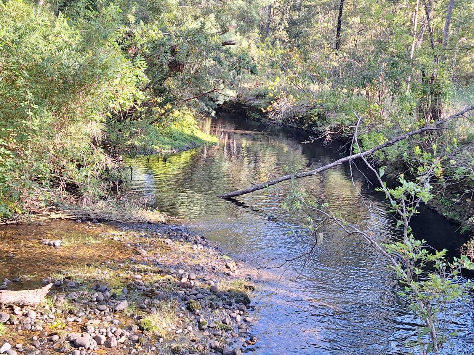 Venta Parcela Los Lagos - Los Ríos