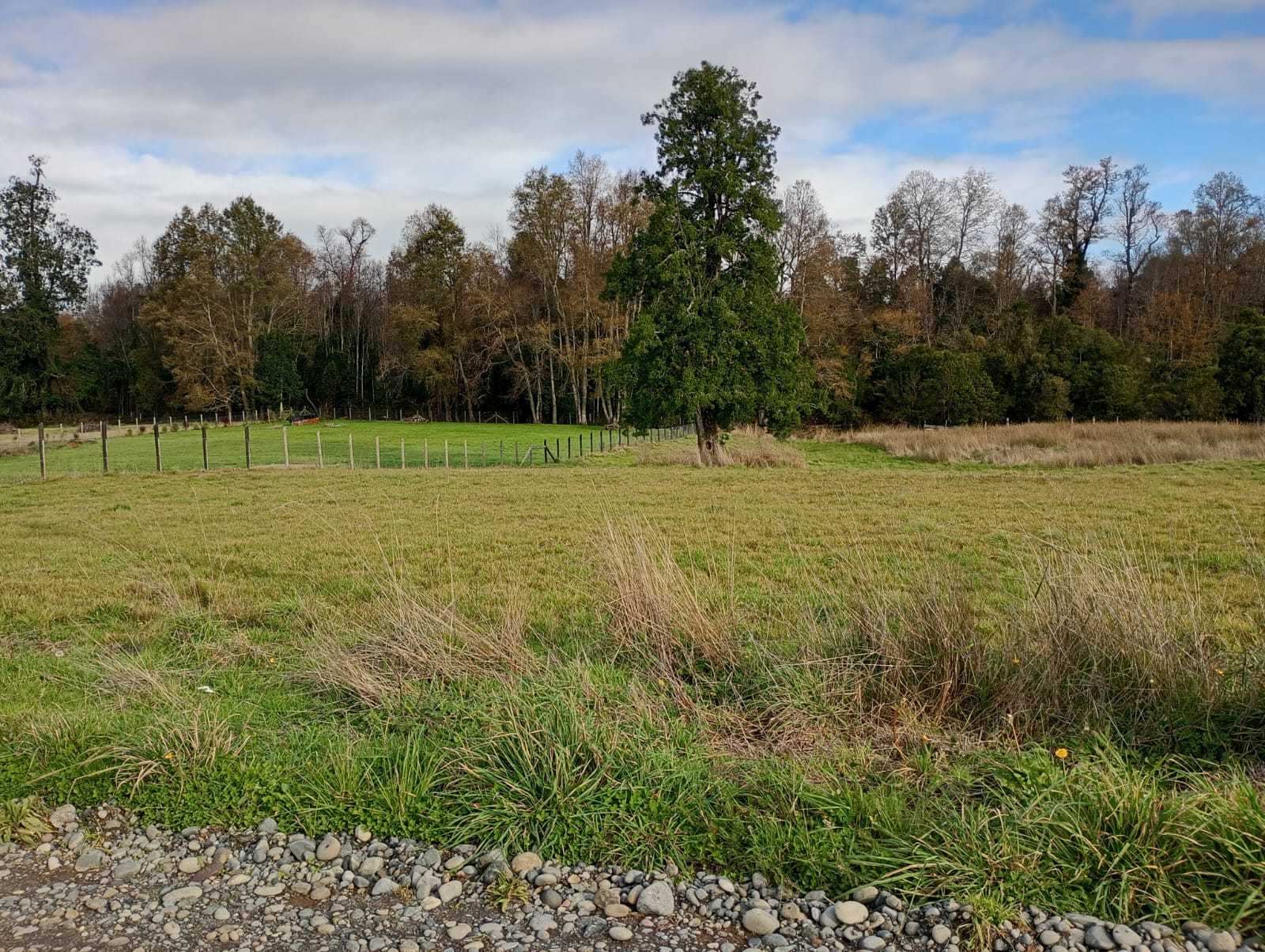 Venta Parcela Río Negro - Los Lagos