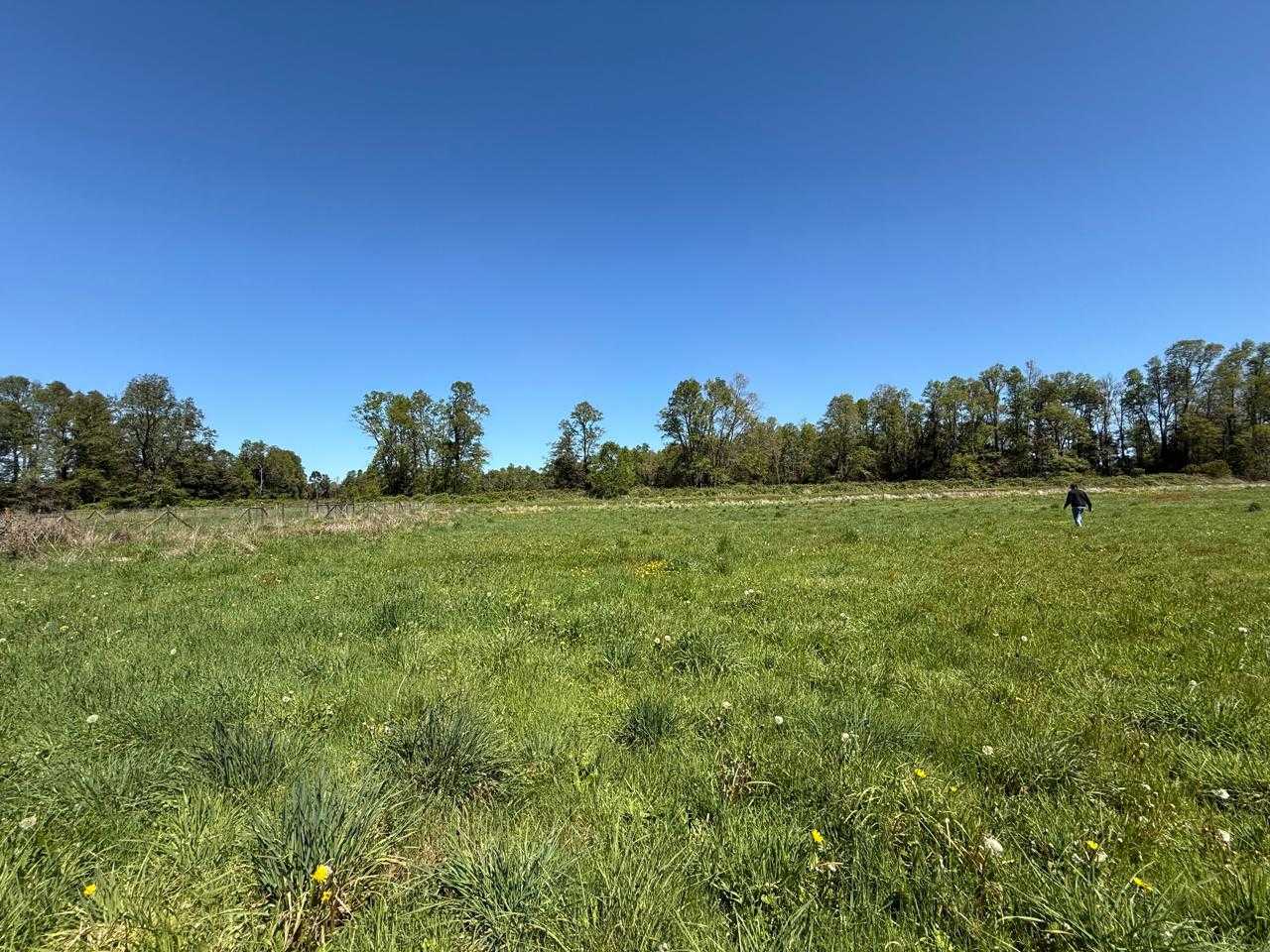 Venta Parcela Frutillar - Los Lagos