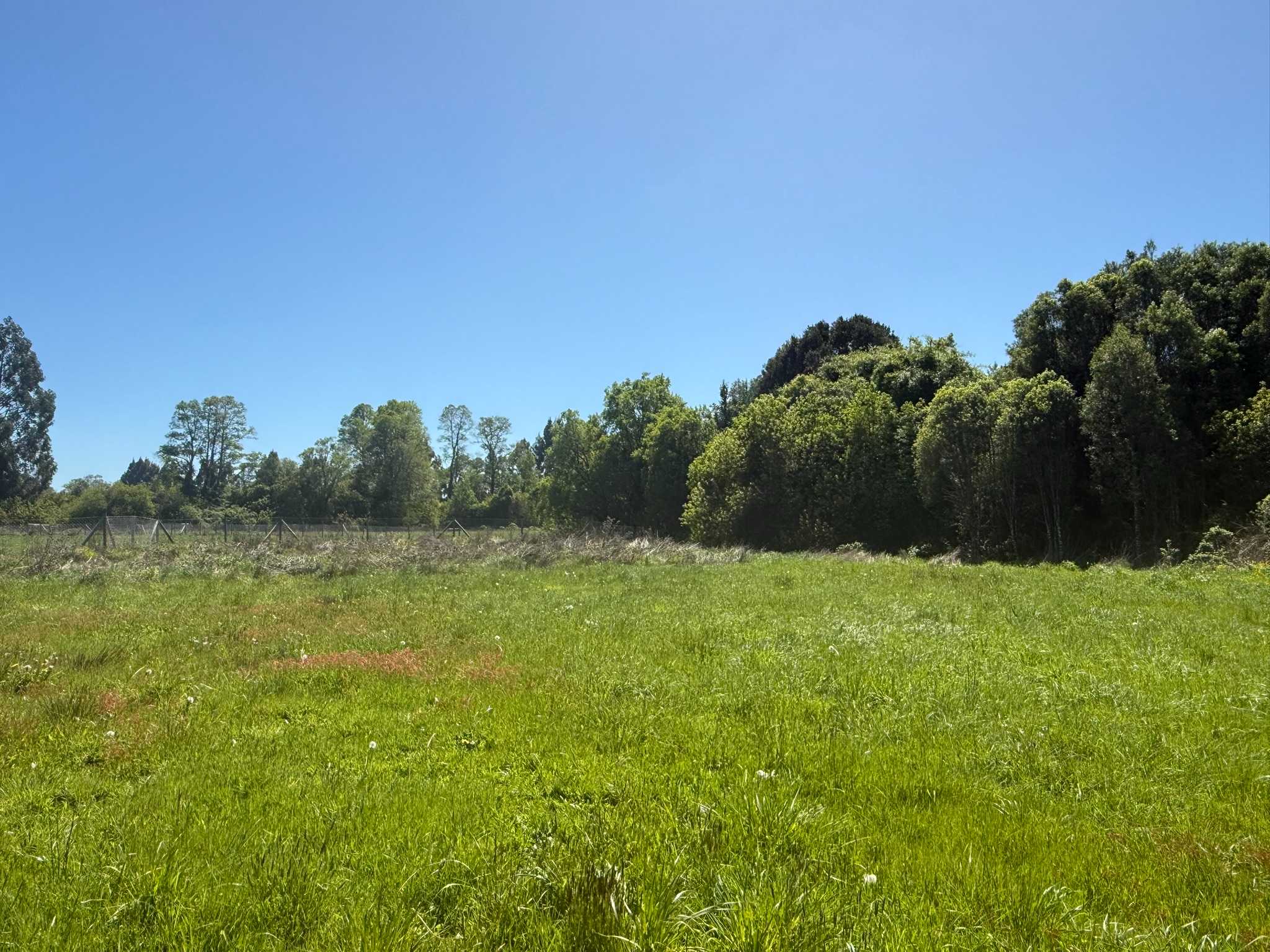 Venta Parcela Frutillar - Los Lagos