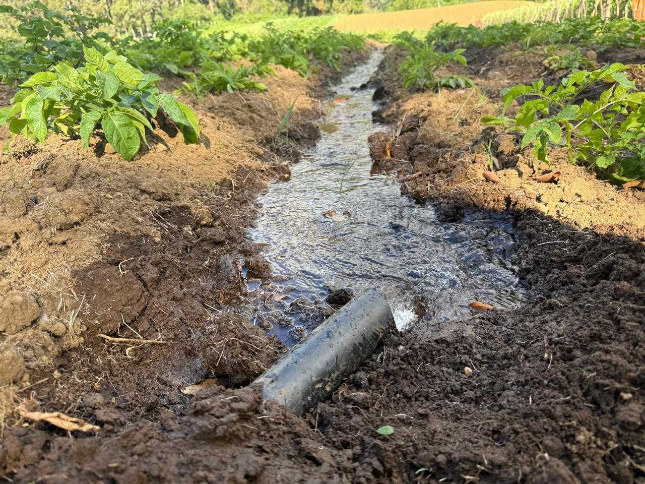 Venta Parcela Lago Ranco - Los Ríos