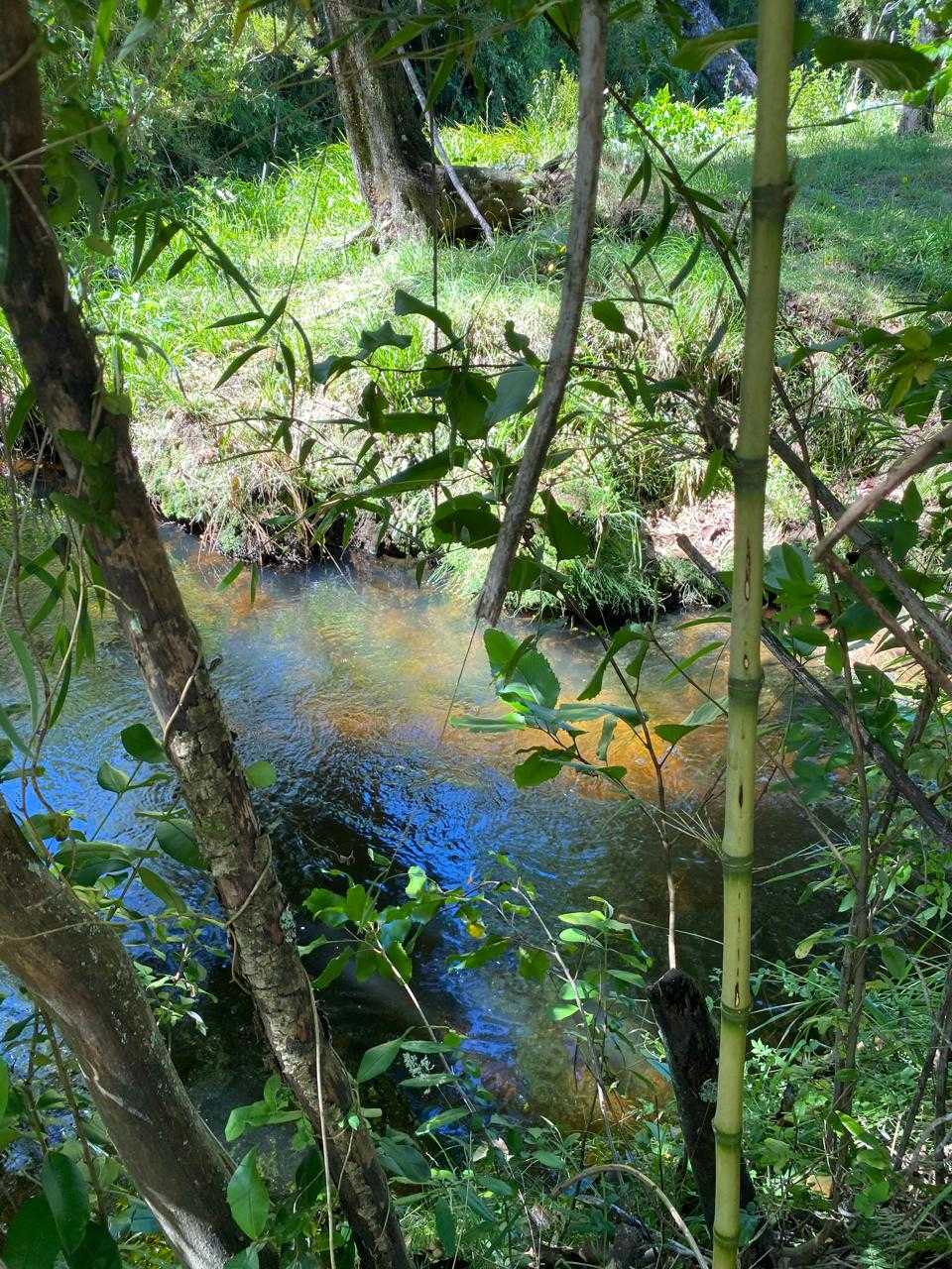 Venta Parcela Curacautín - La Araucanía
