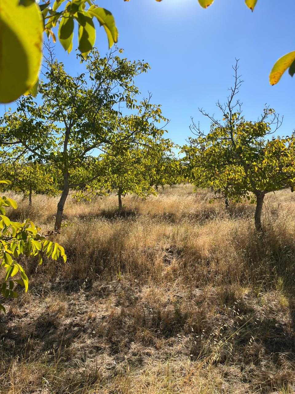 Venta Terreno Bulnes - Ñuble