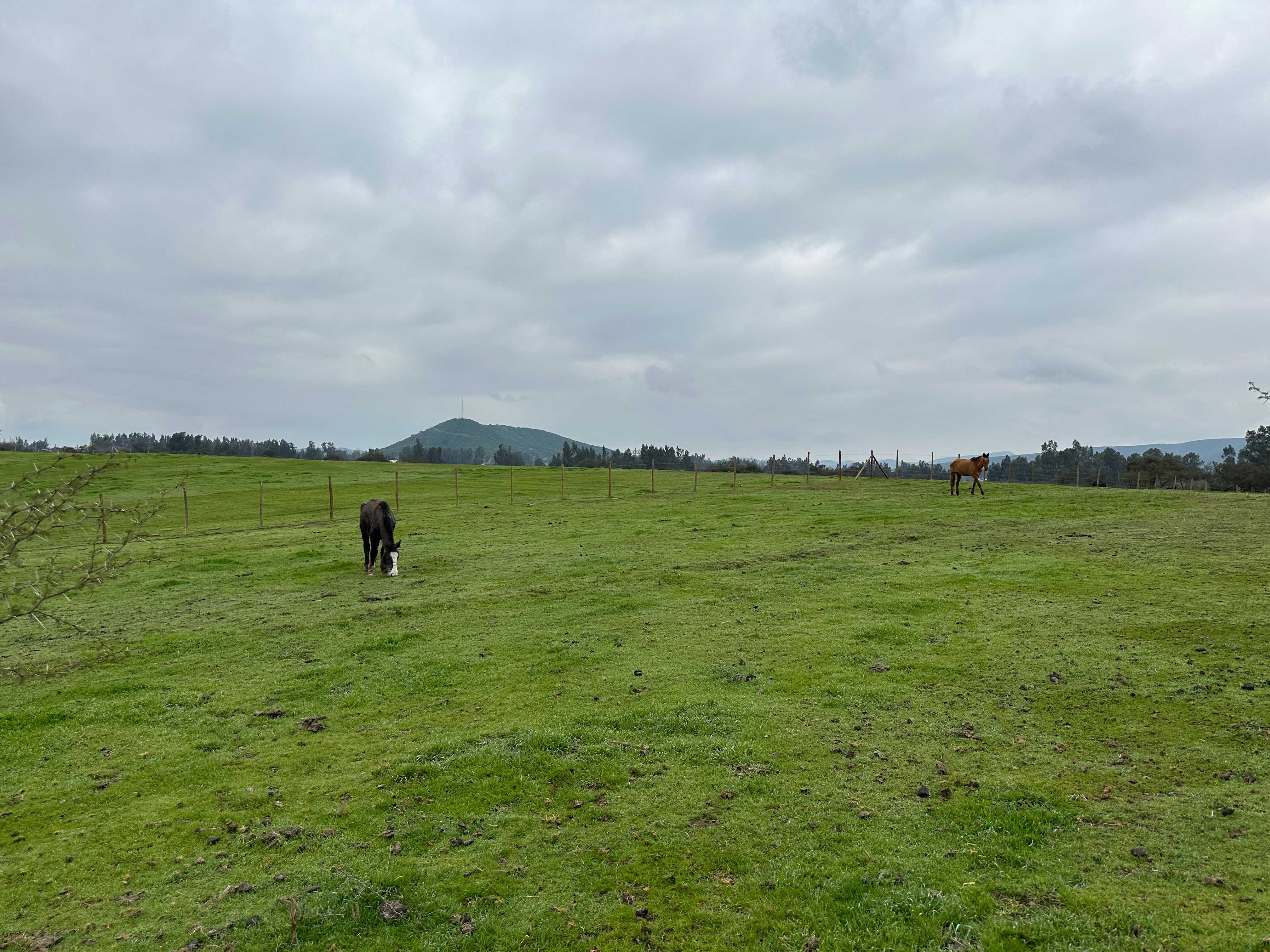 Venta Terreno Melipilla - Región Metropolitana