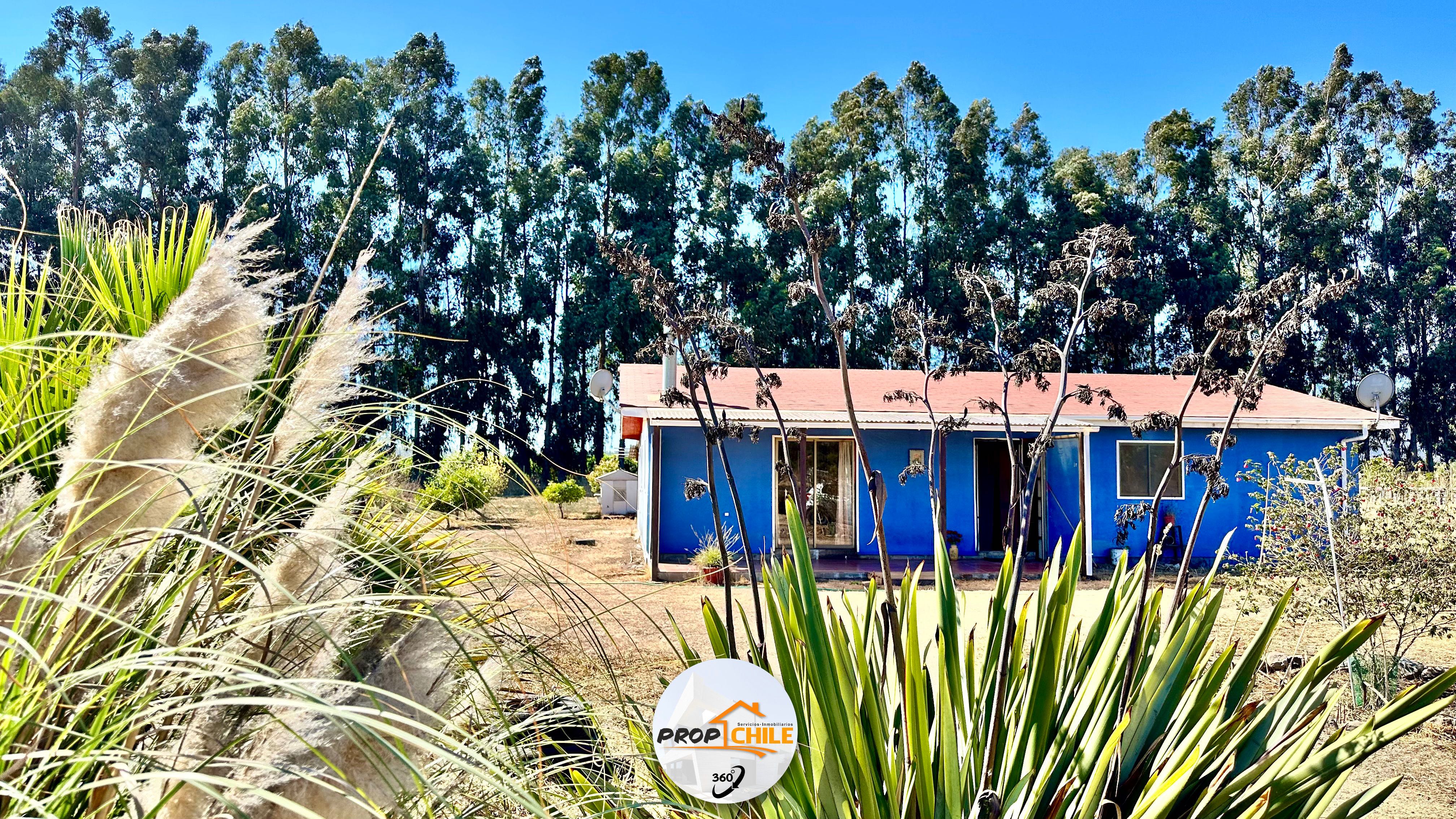 Venta Parcela Puchuncaví - Valparaíso