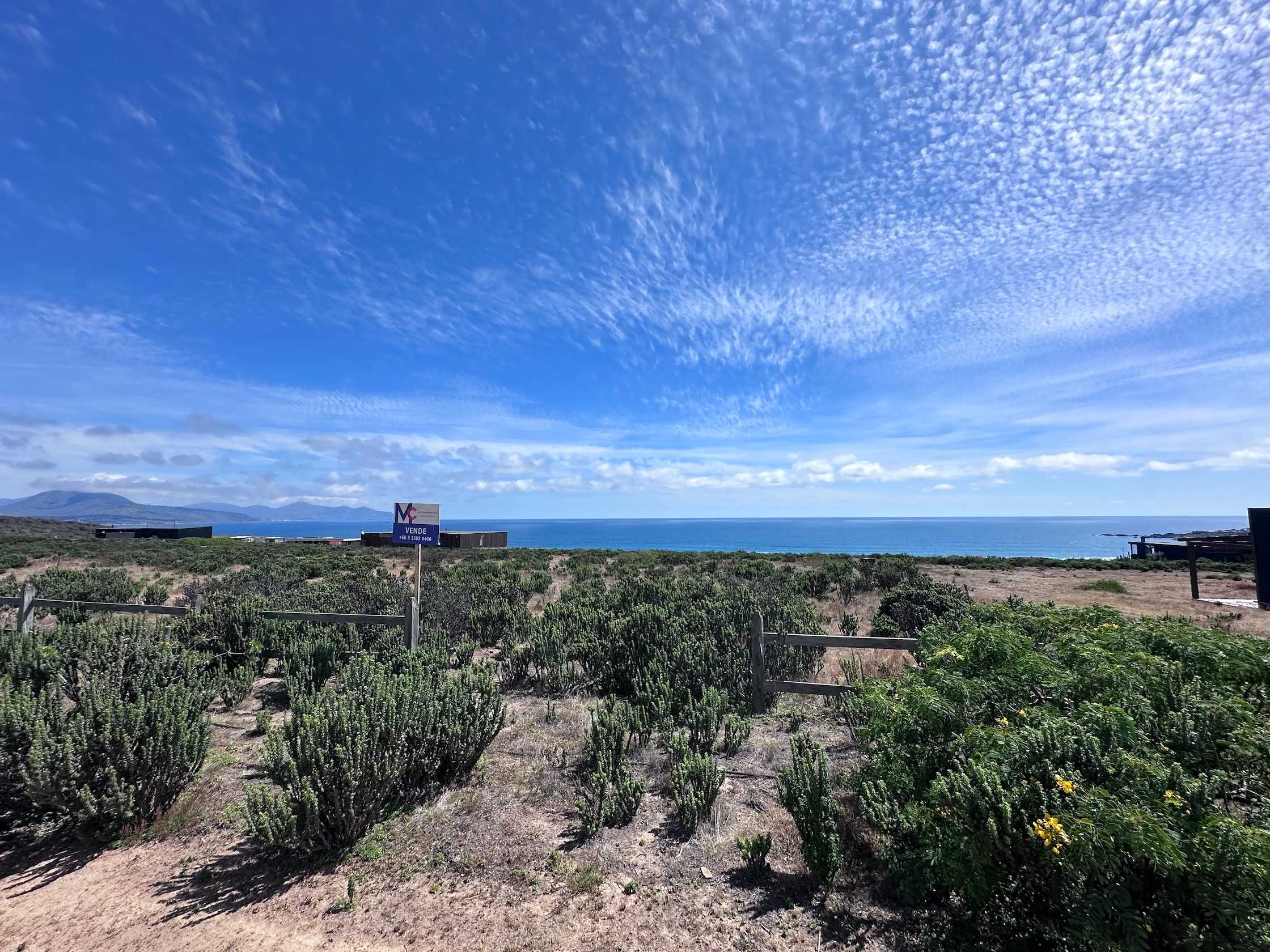 Venta Sitio La Ligua - Valparaíso