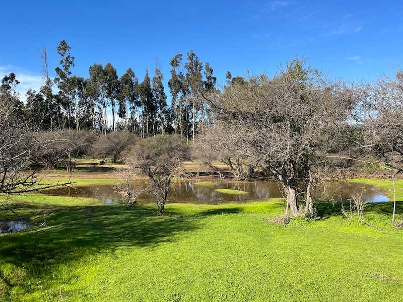 Venta Terreno Zapallar - Valparaíso