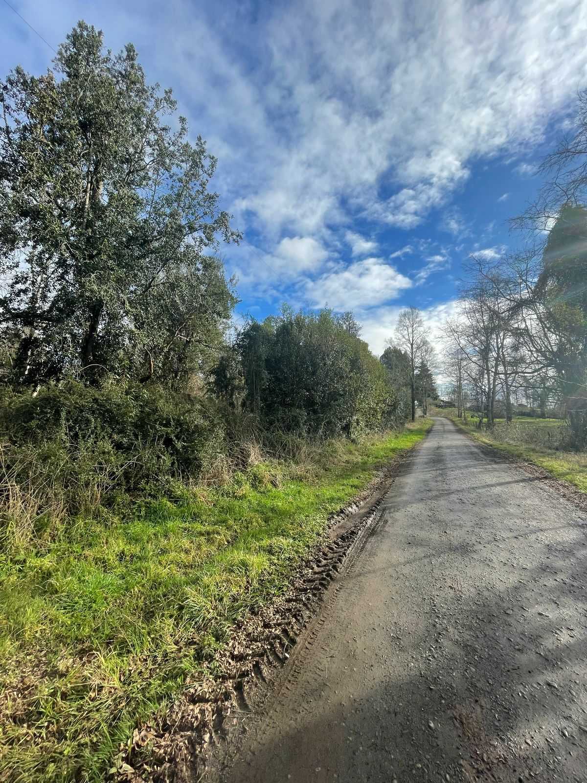 Venta Parcela Río Bueno - Los Ríos