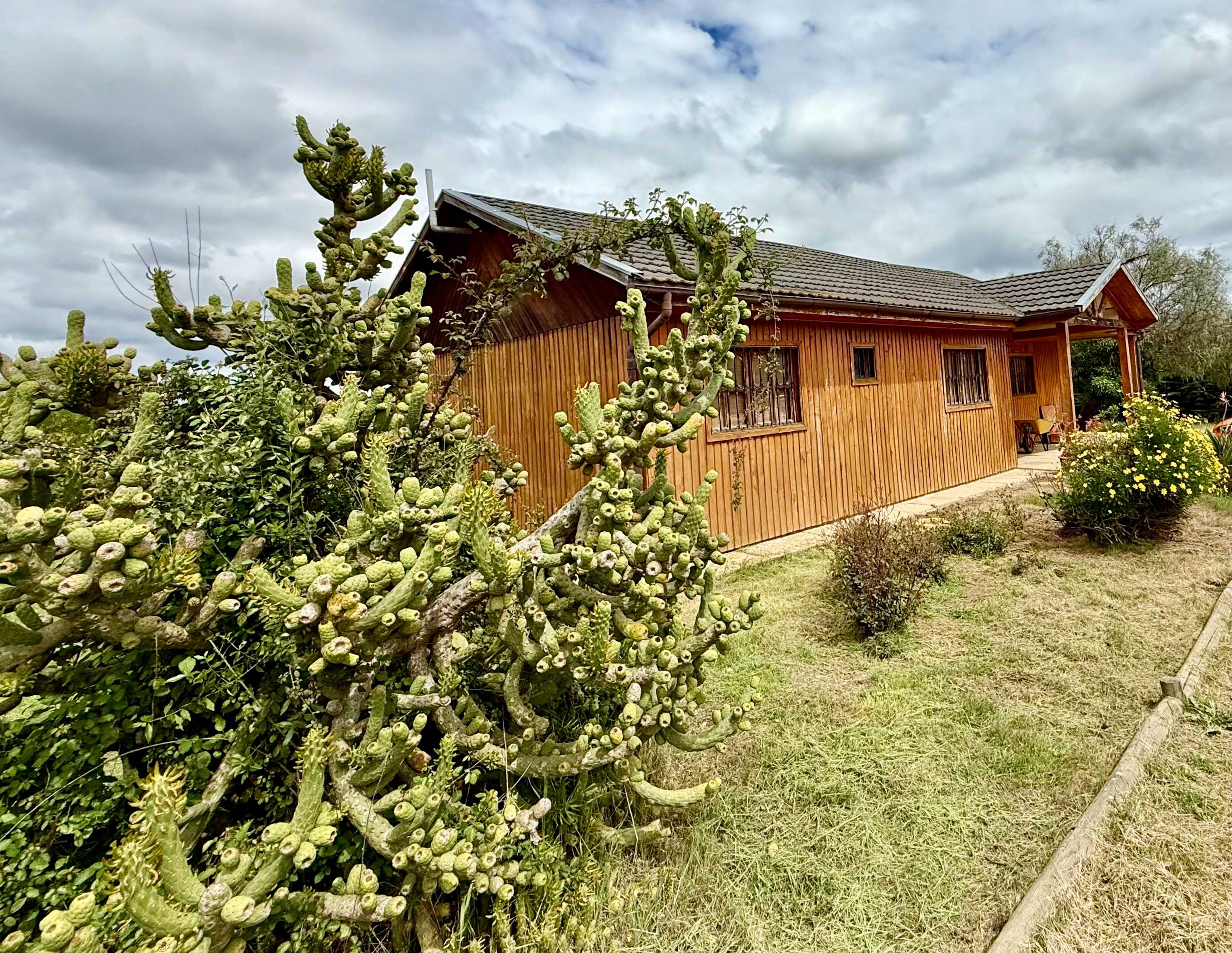 Venta Parcela Melipilla - Región Metropolitana