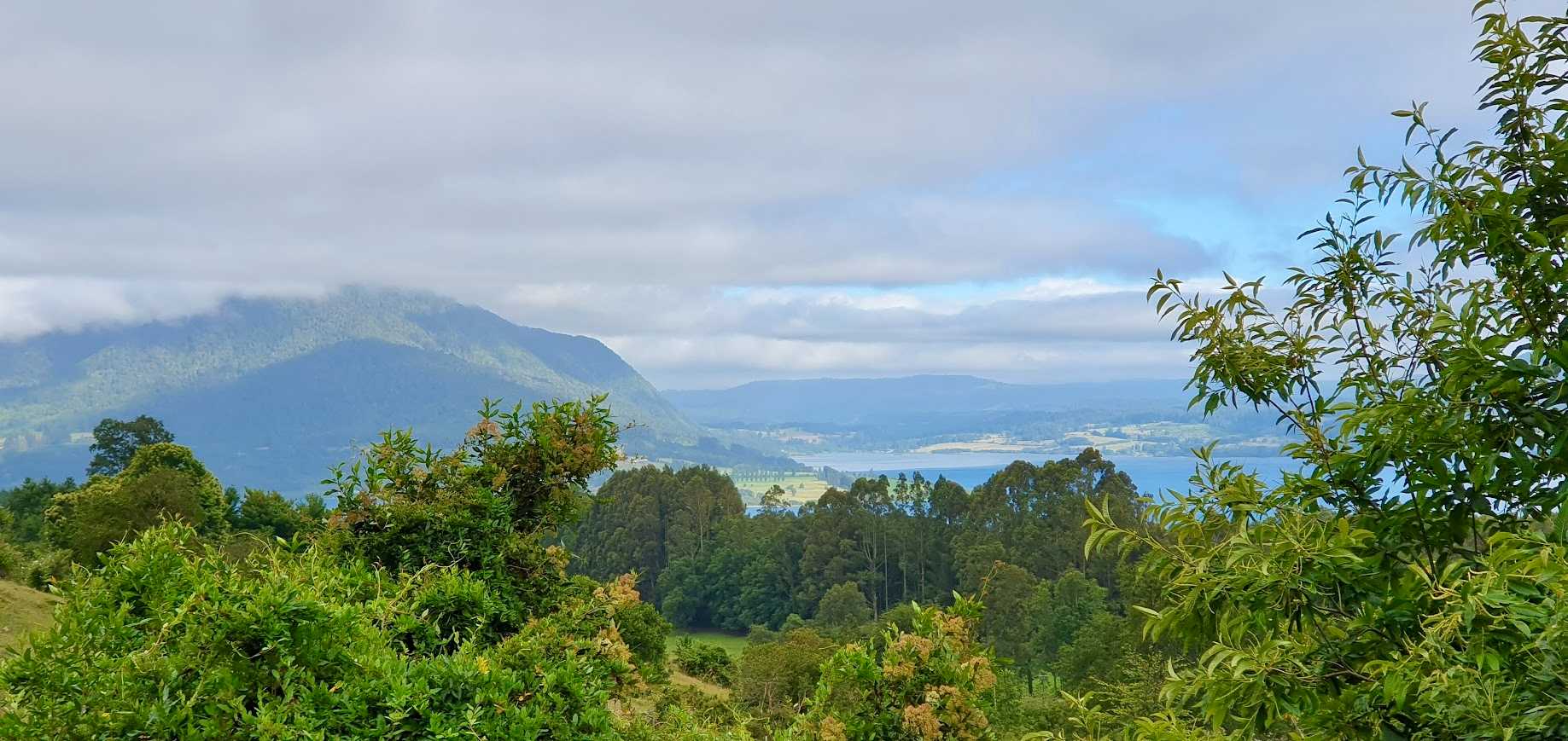 Venta Parcela Los Lagos - Los Ríos