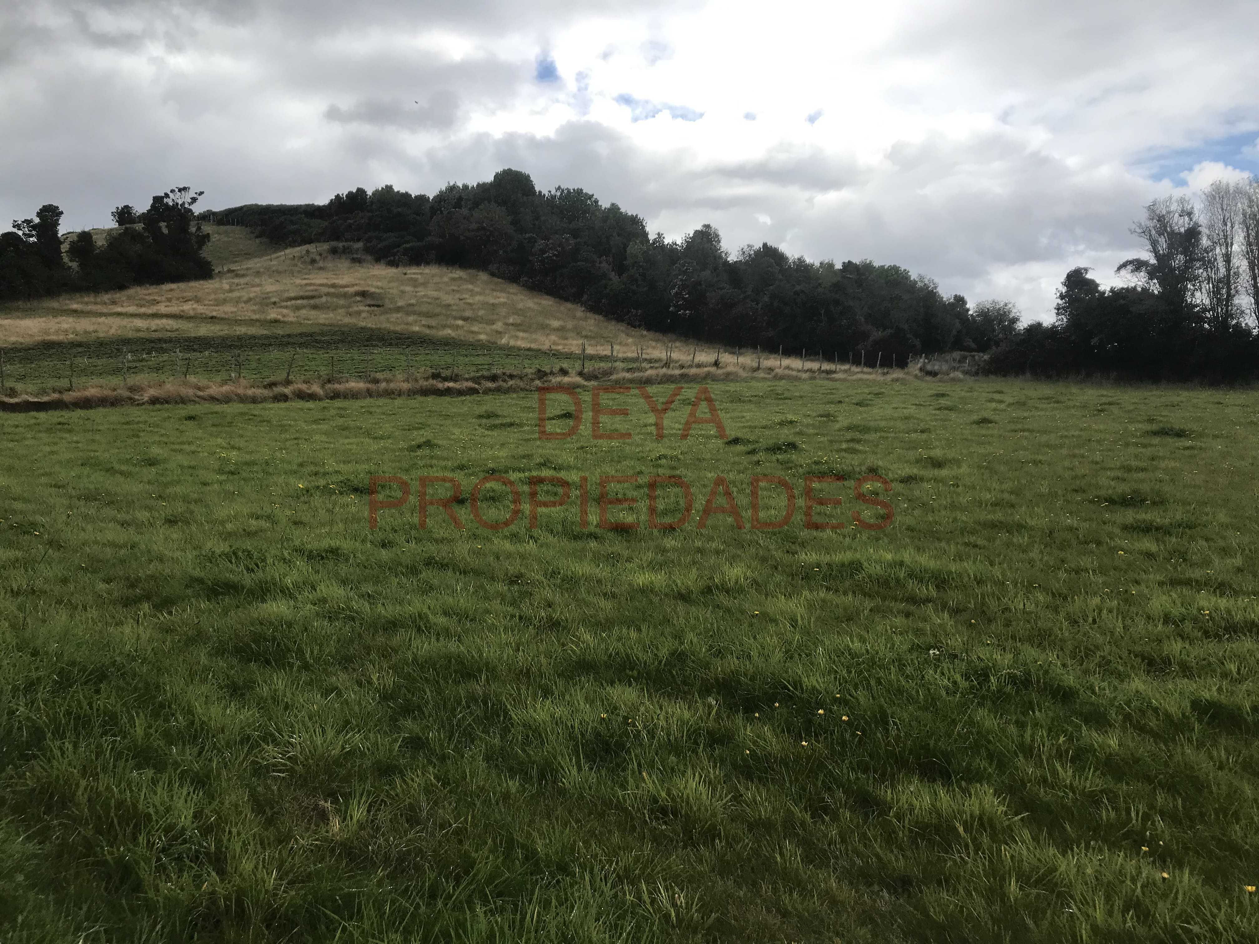 Venta Parcela Calbuco - Los Lagos