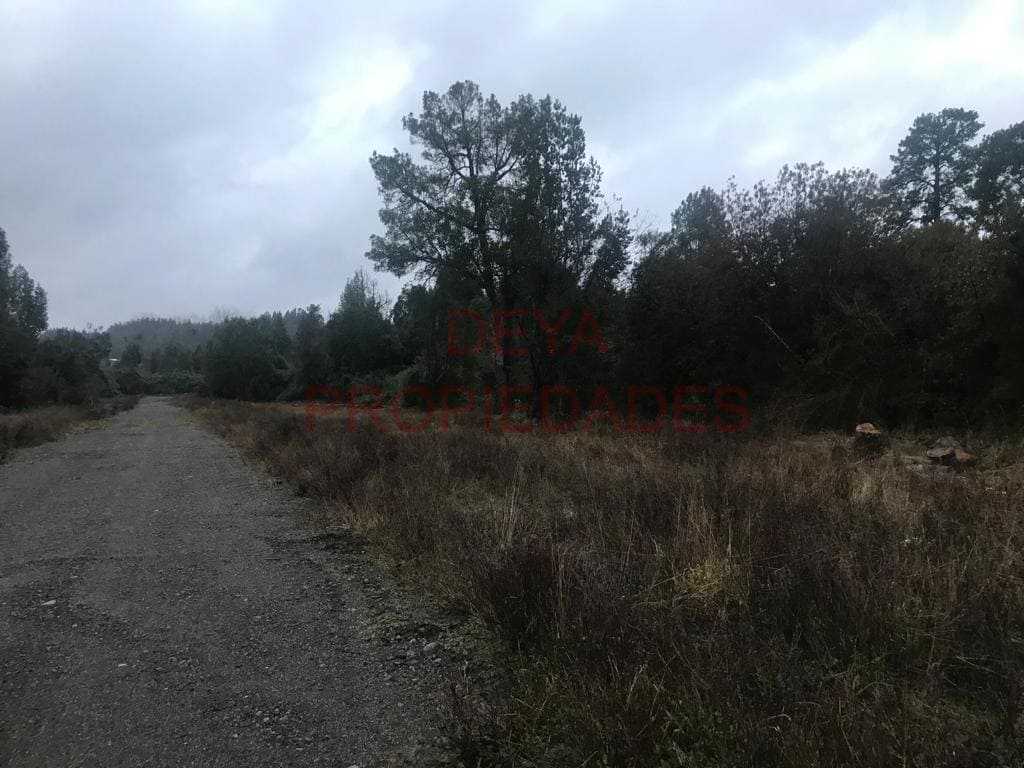 Venta Parcela Frutillar - Los Lagos