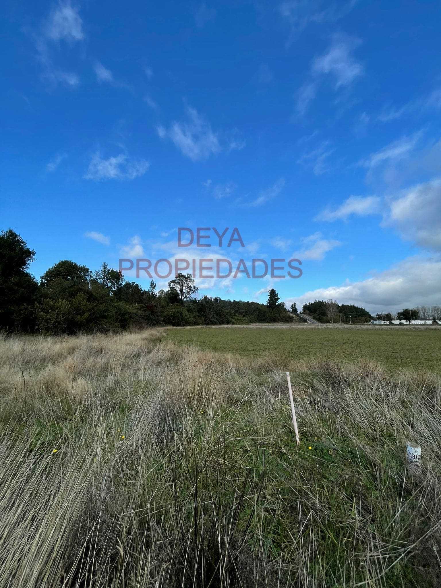 Venta Parcela Frutillar - Los Lagos