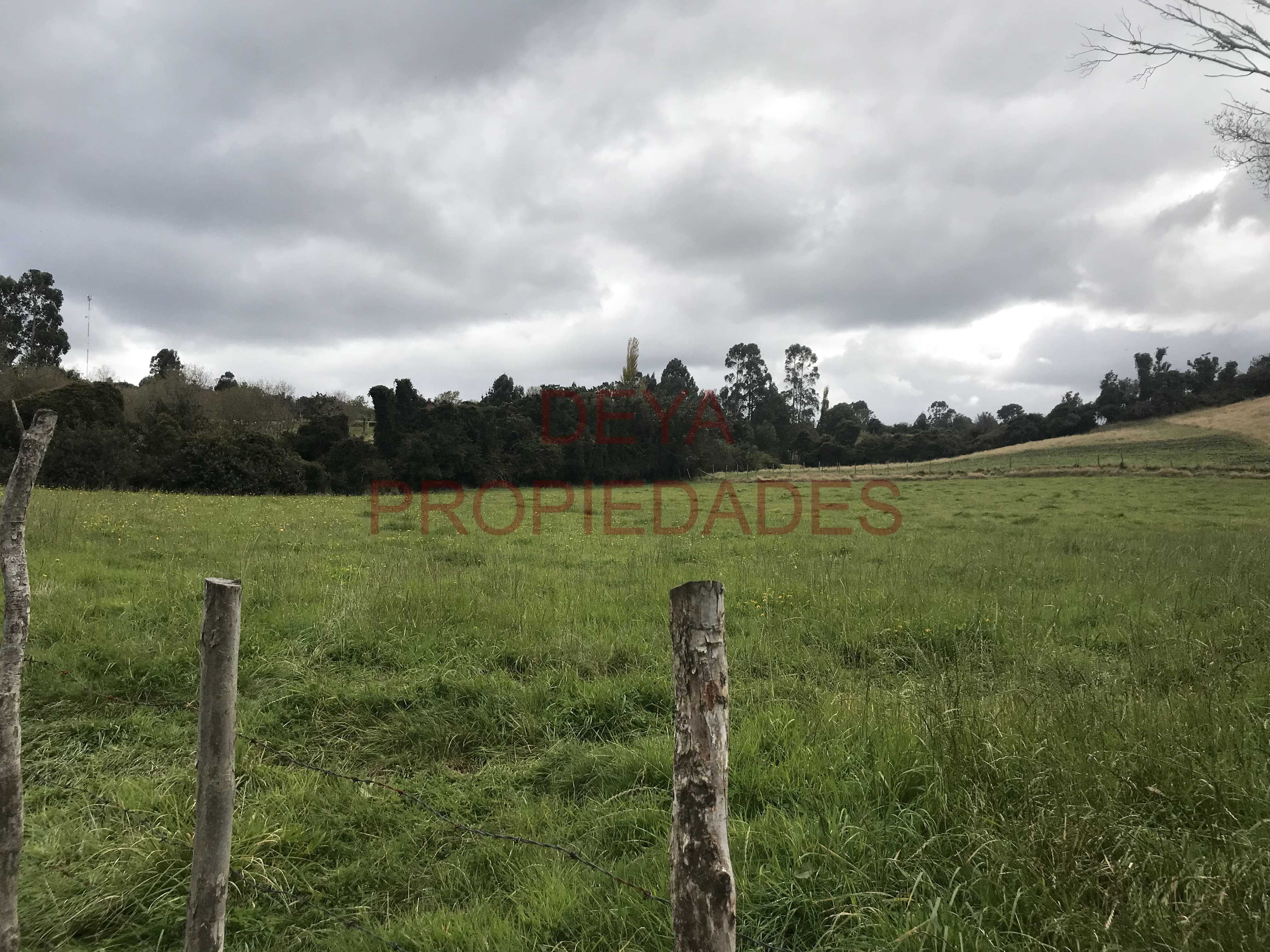 Venta Parcela Calbuco - Los Lagos