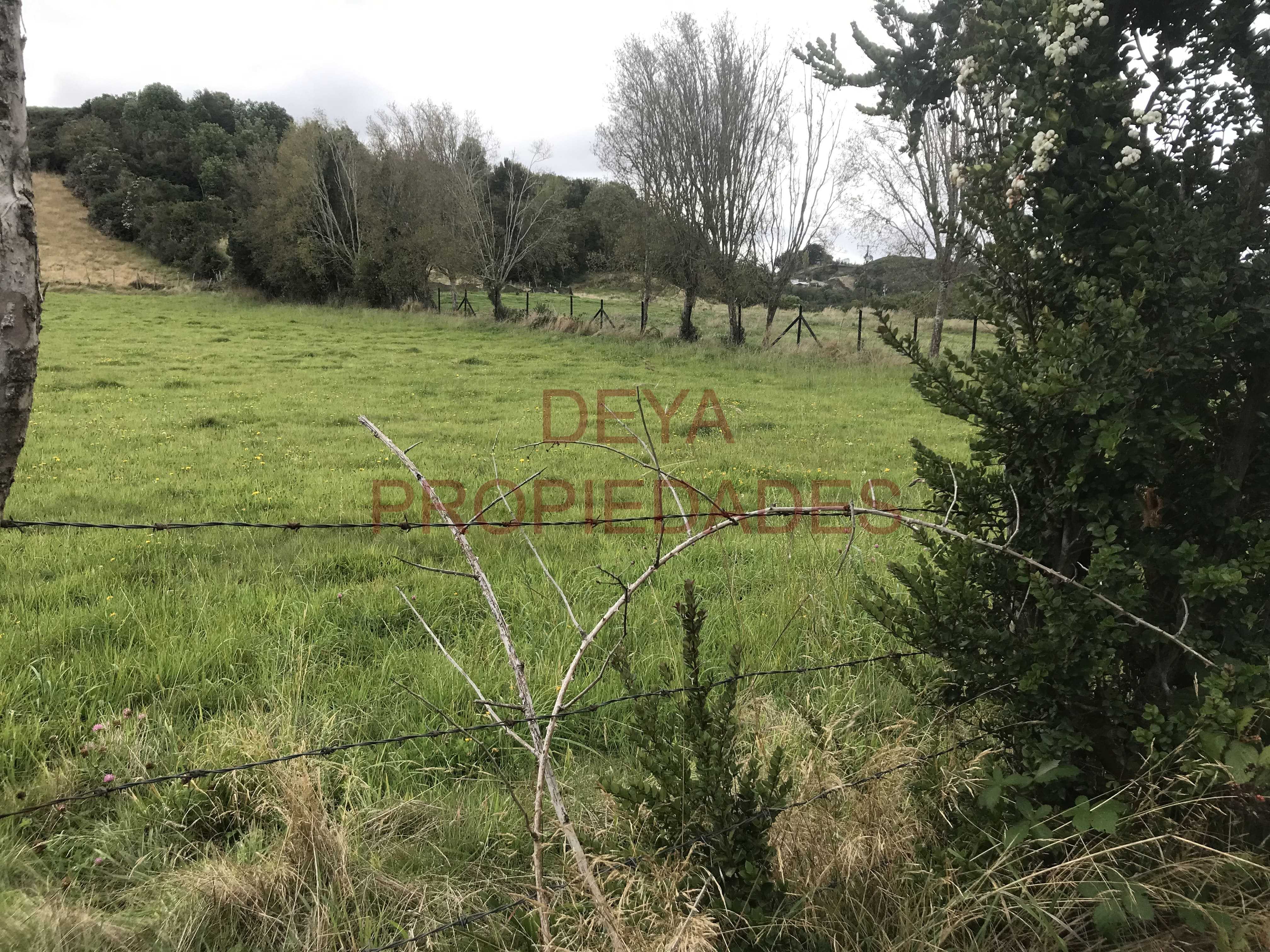Venta Parcela Calbuco - Los Lagos