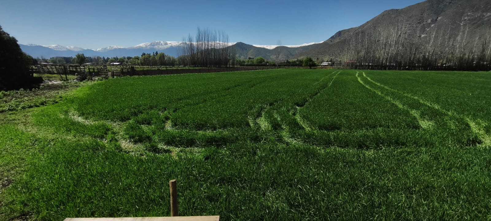 Venta Parcela Paine - Región Metropolitana