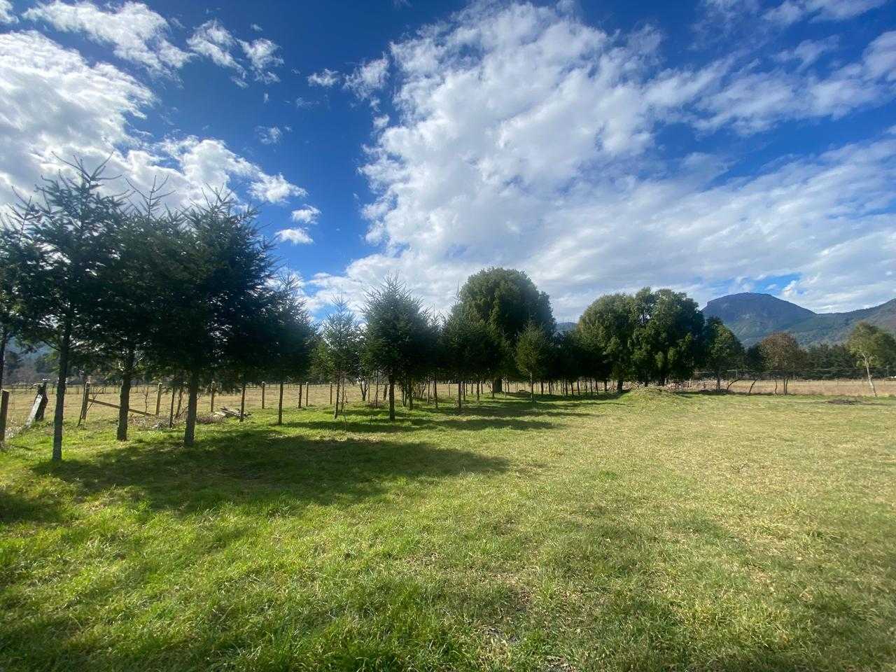 Venta Parcela Cunco - La Araucanía