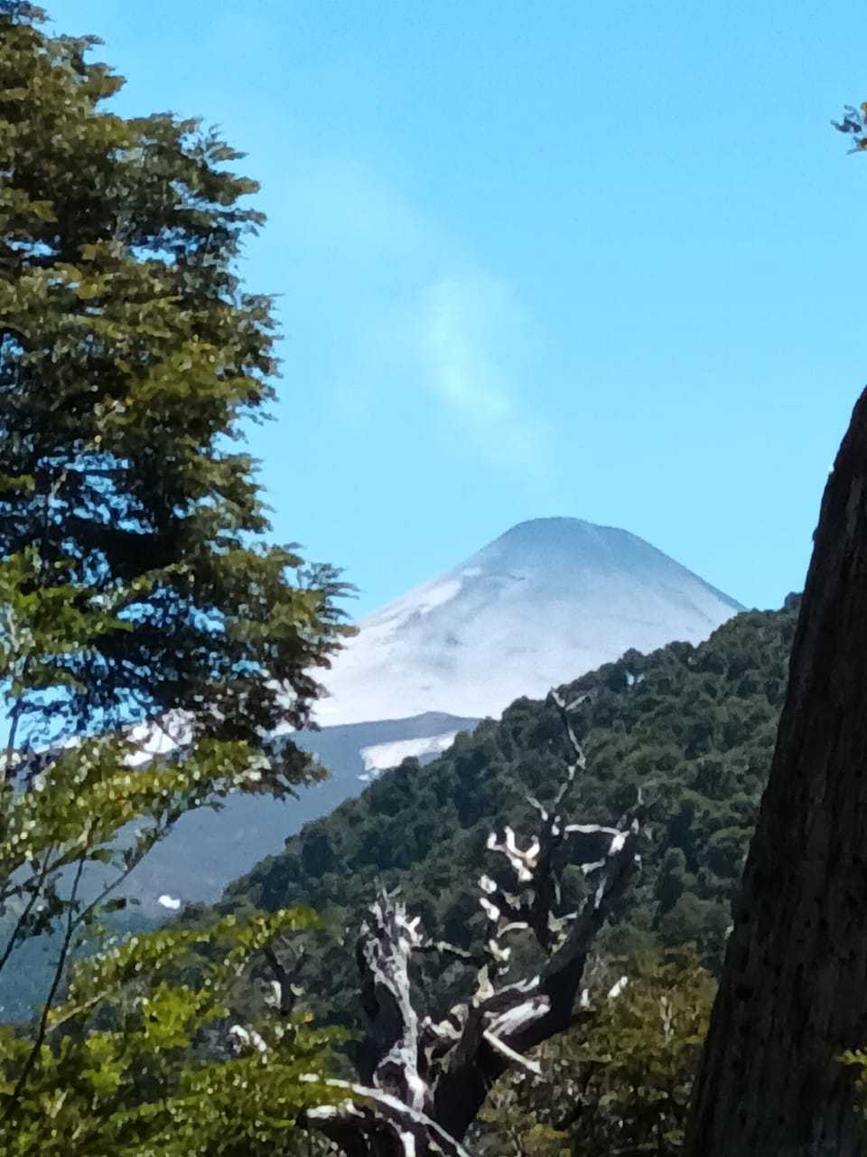 Venta Parcela Panguipulli - Los Ríos