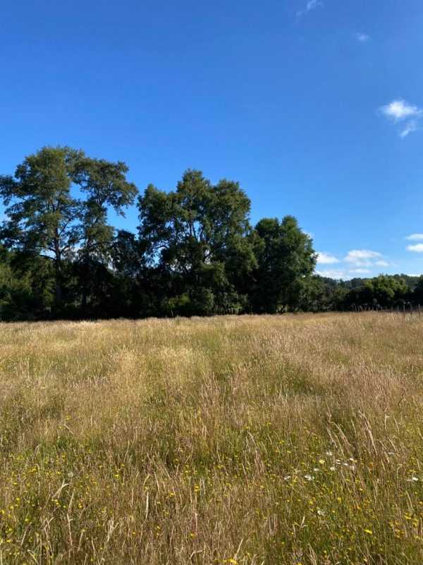 Venta Parcela Vilcún - La Araucanía