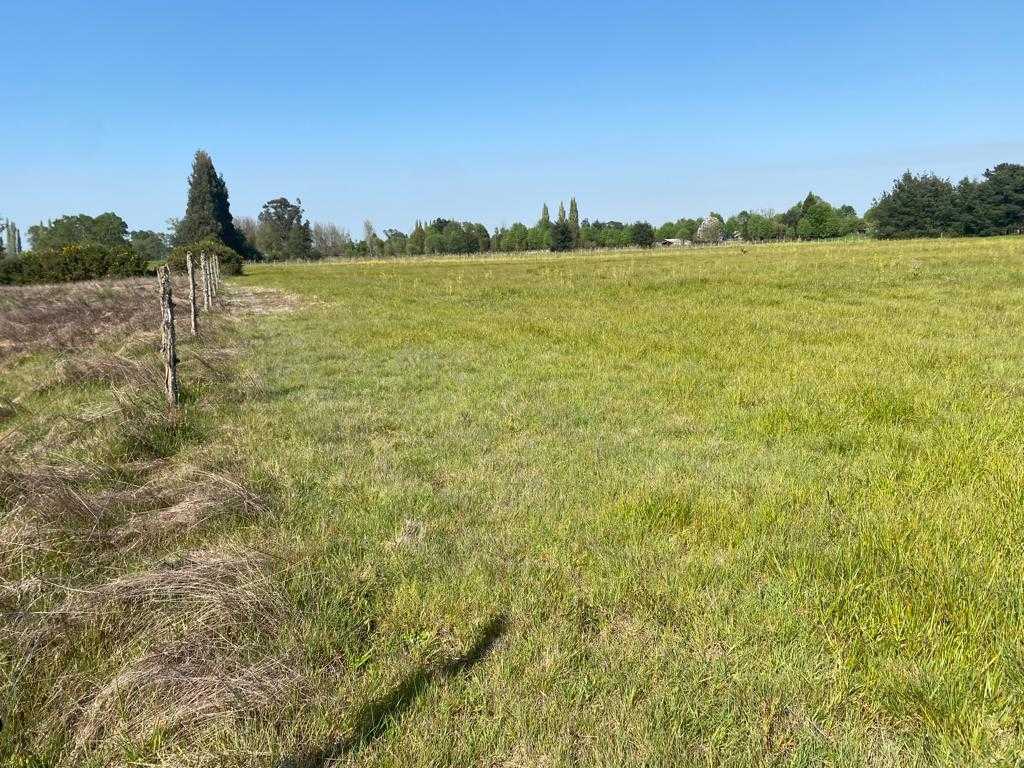 Venta Terreno Padre Las Casas - La Araucanía