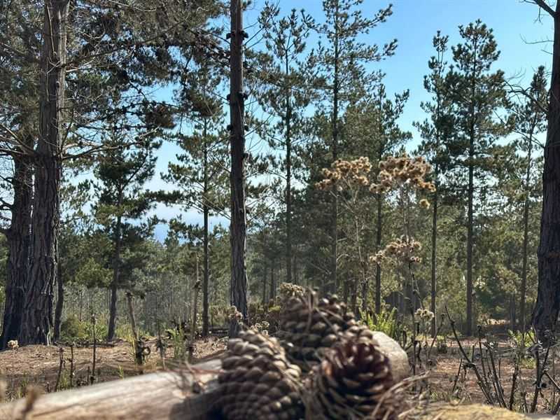 Venta Parcela Valparaíso - Valparaíso