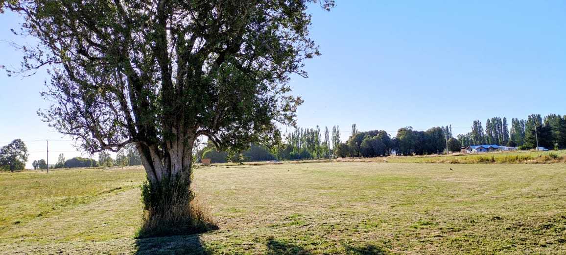 Venta Parcela Osorno - Los Lagos