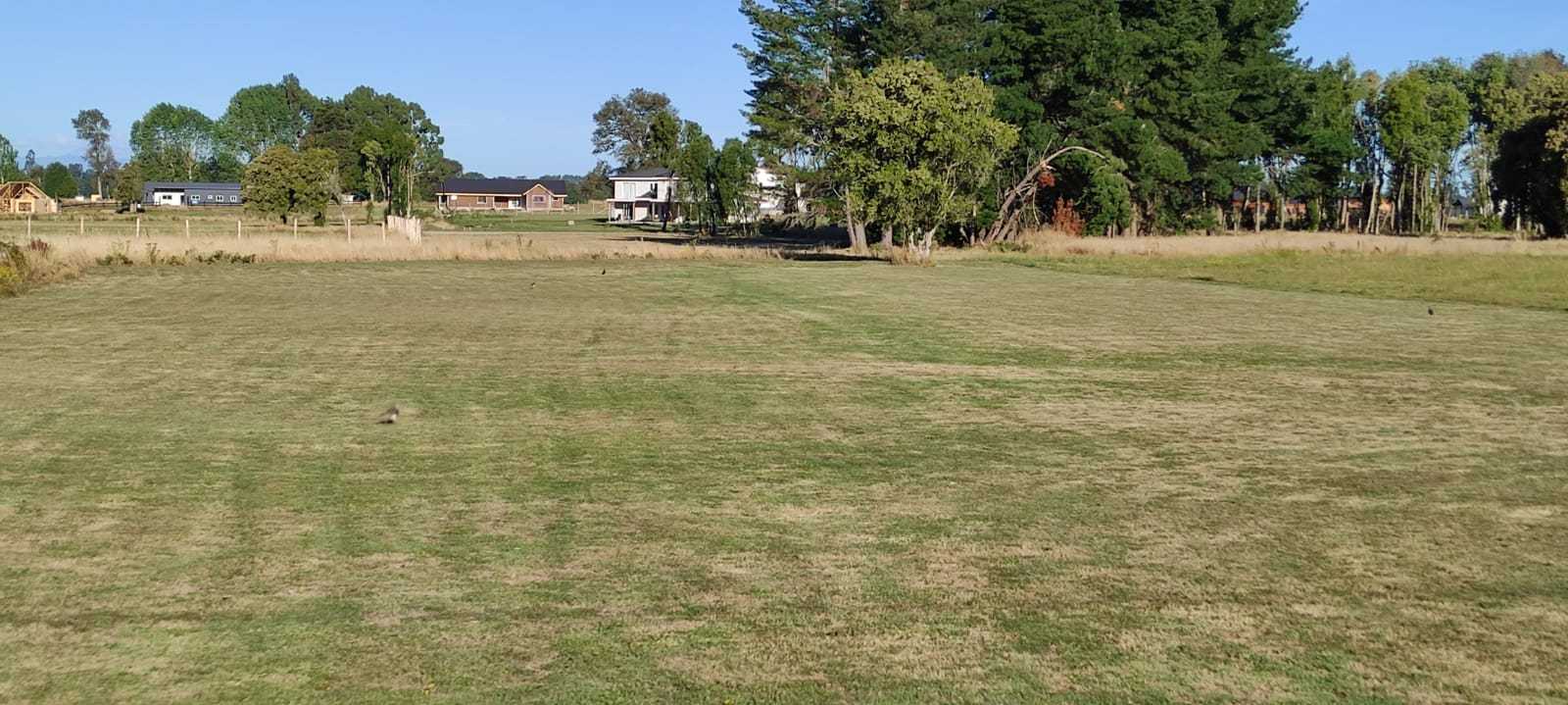 Venta Parcela Osorno - Los Lagos