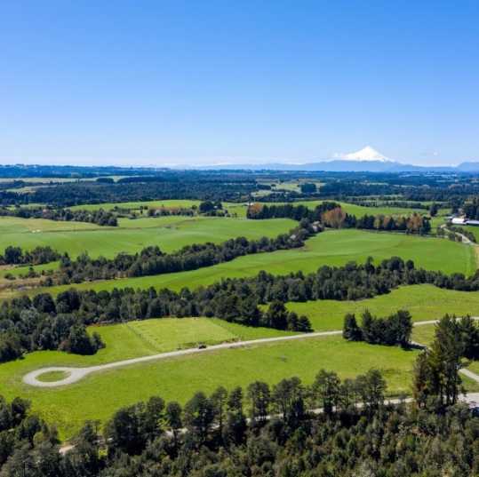 Venta Terreno Puerto Varas - Los Lagos