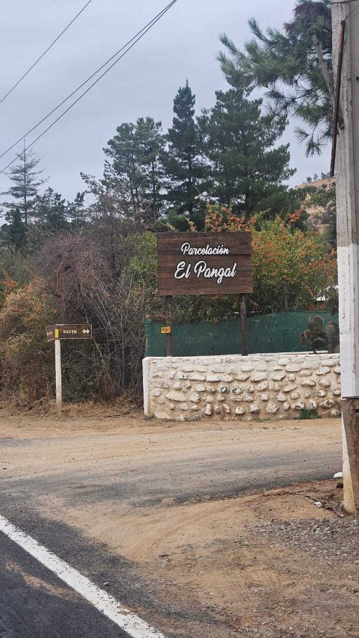Venta Parcela Curacaví - Región Metropolitana