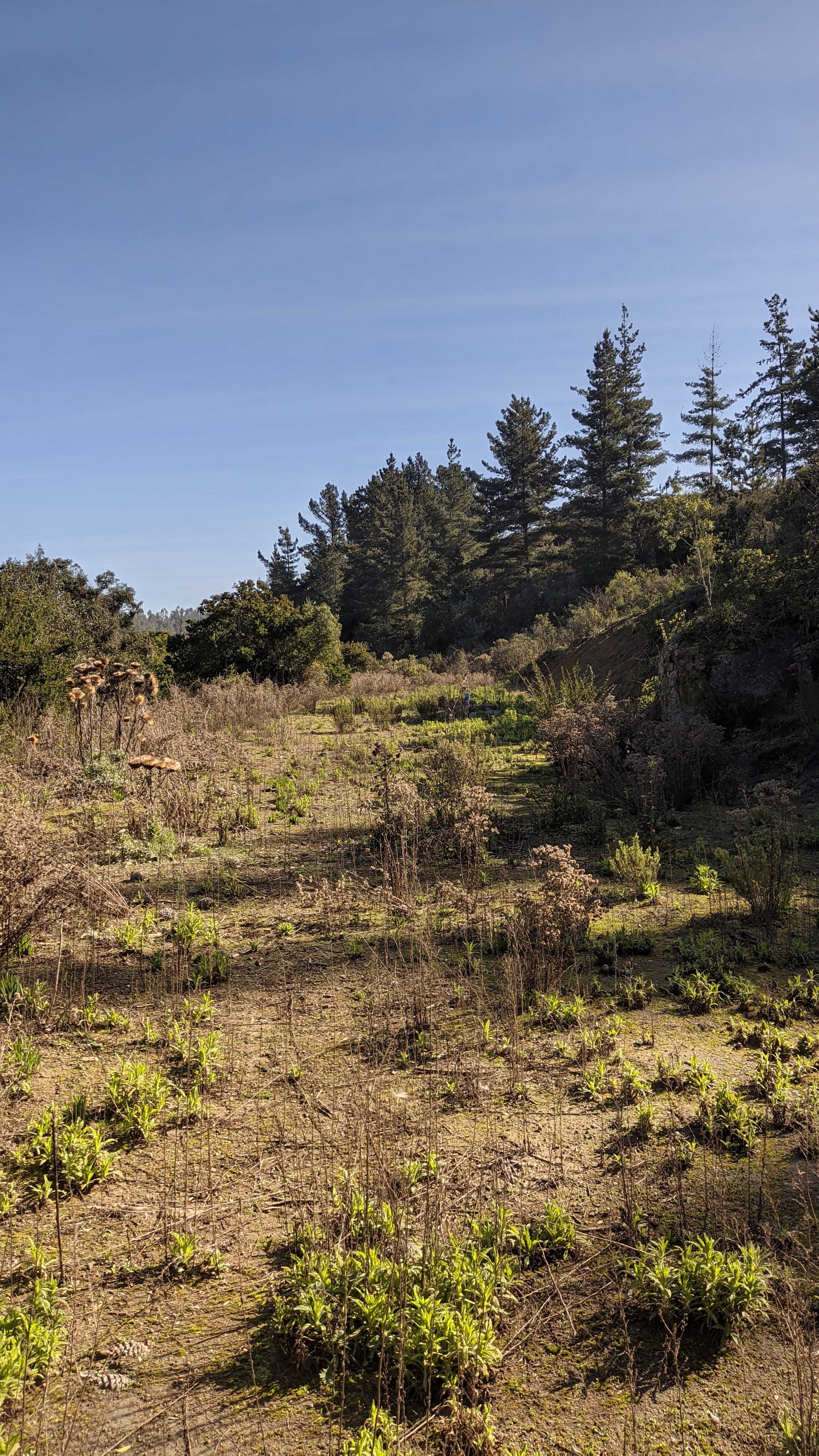 Venta Parcela Algarrobo - Valparaíso