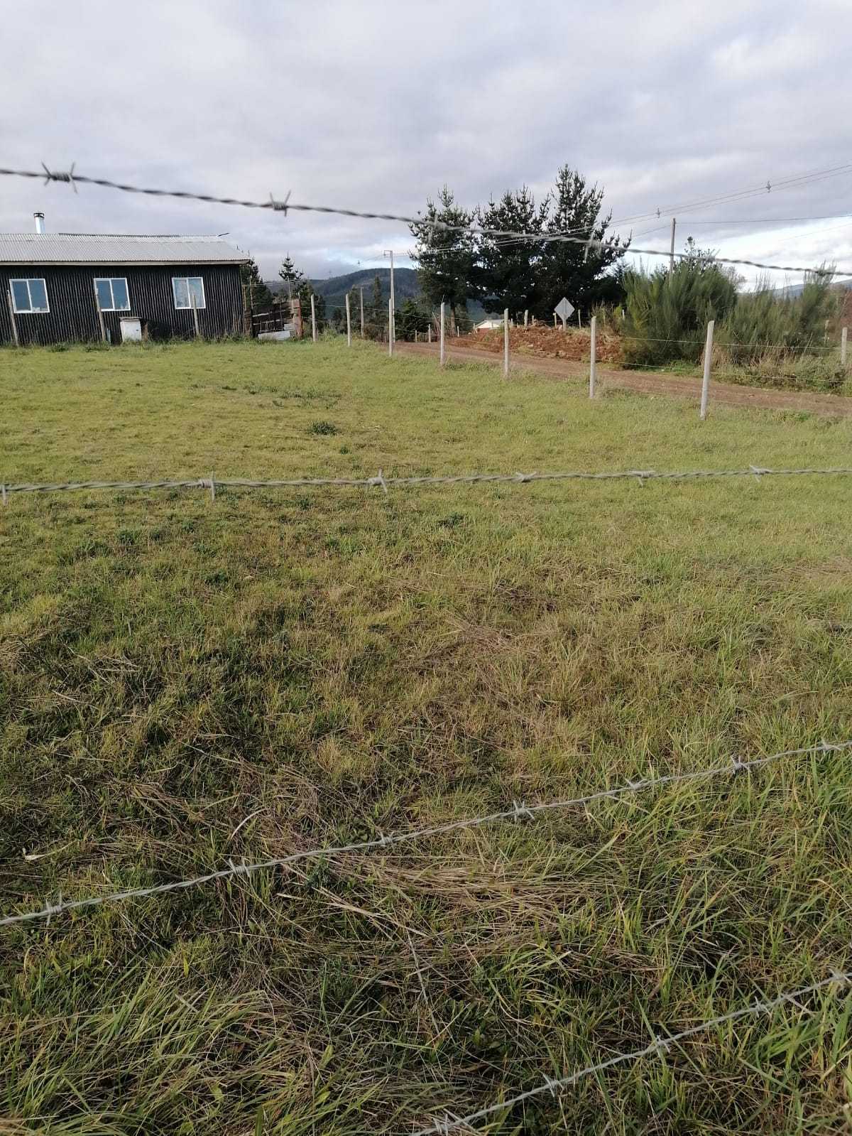 Venta Sitio Cañete - Biobío