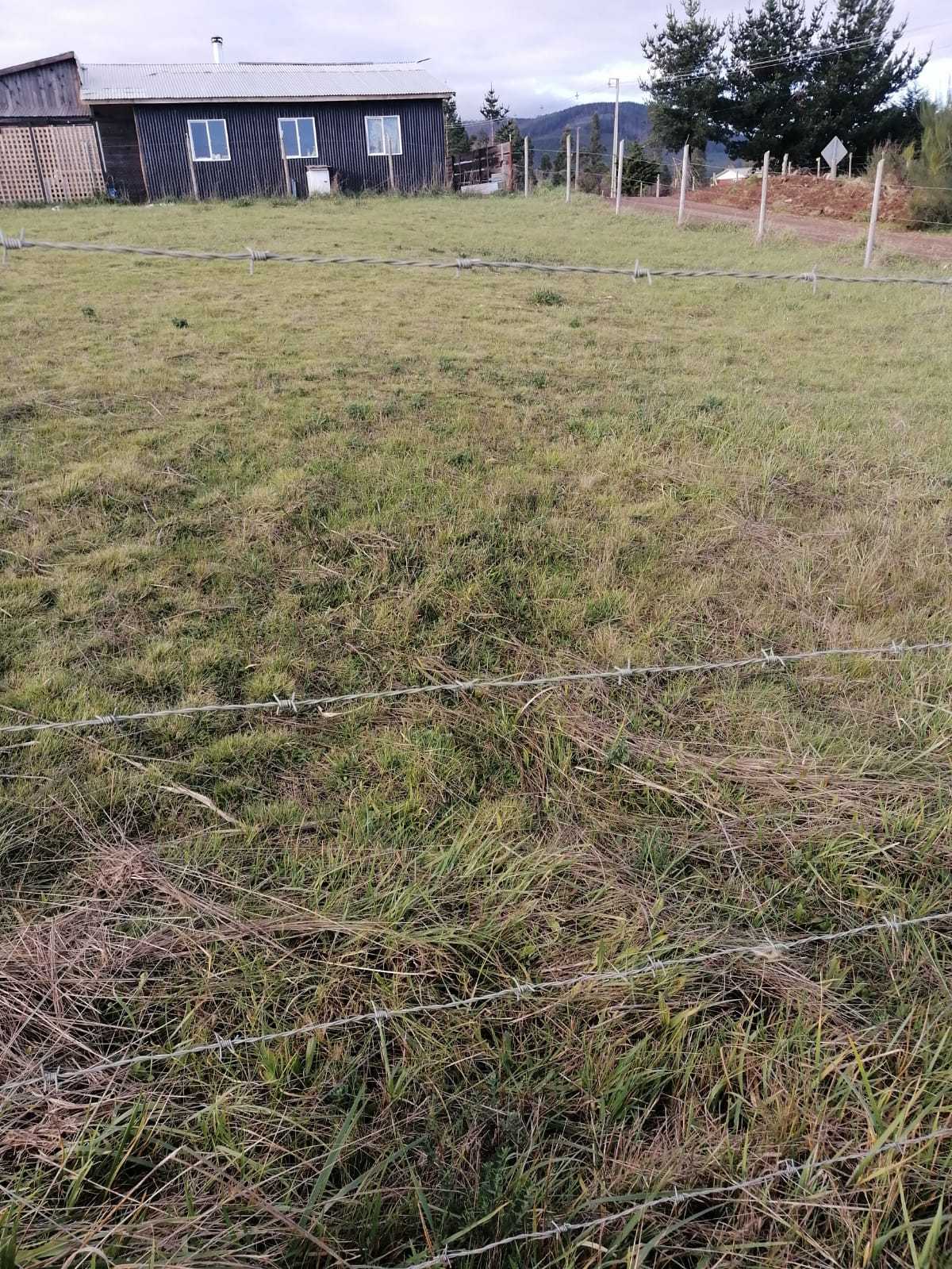Venta Sitio Cañete - Biobío