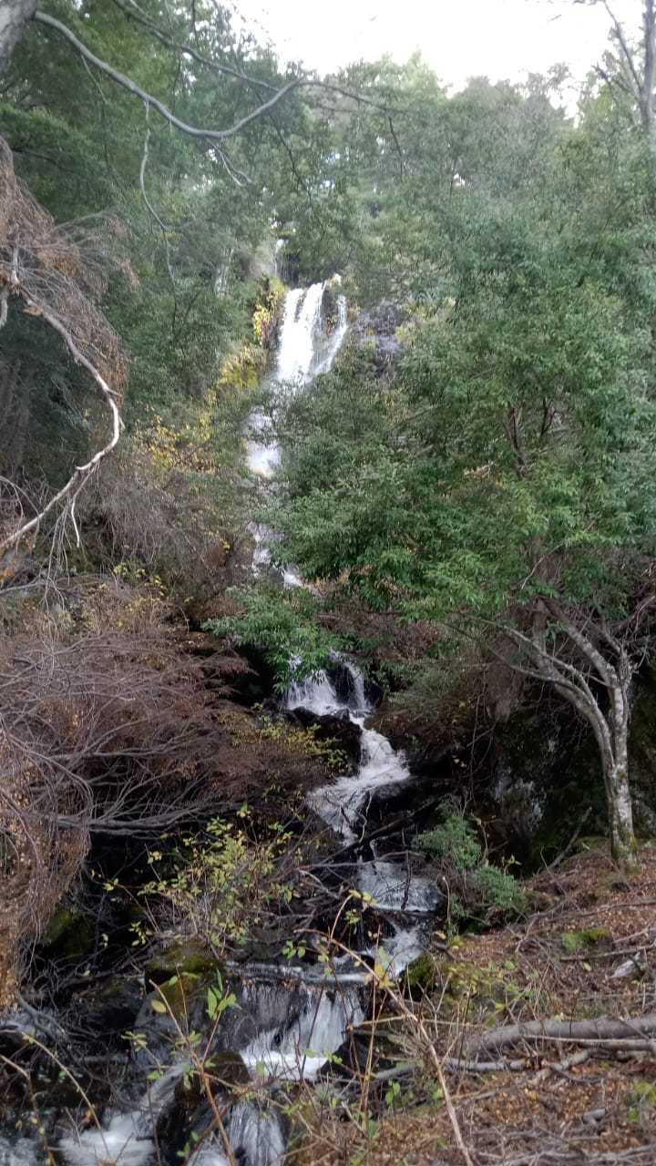 Venta Terreno Río Ibañez - Aysén