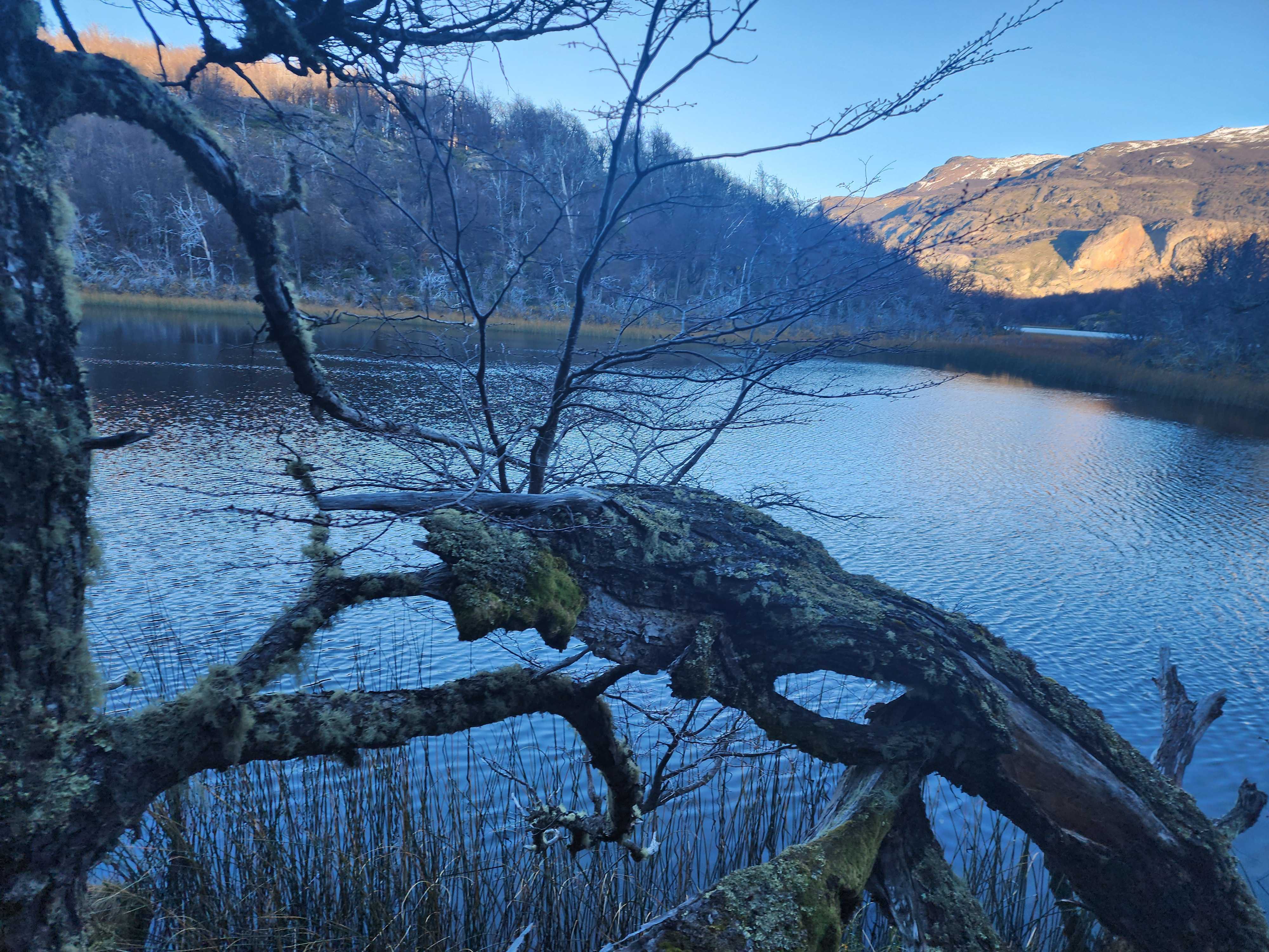 Venta Terreno Río Ibañez - Aysén