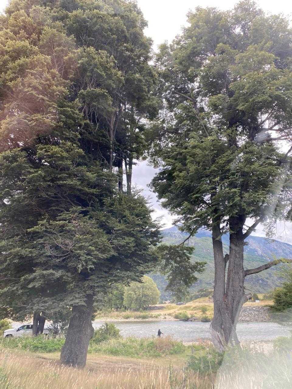 Venta Terreno Aysén - Aysén