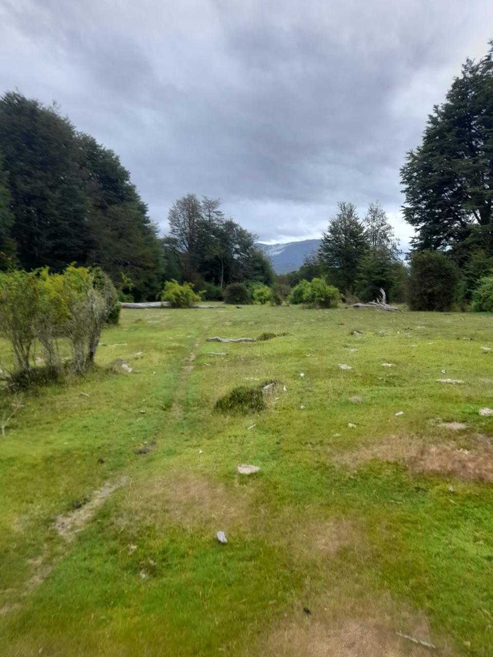 Venta Terreno Cochrane - Aysén