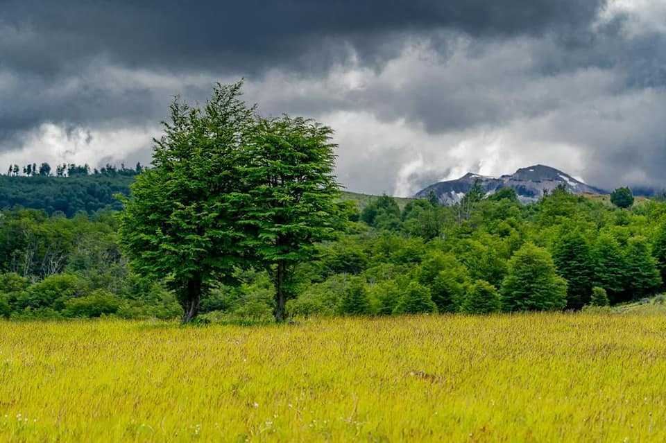 Venta Parcela Coyhaique - Aysén