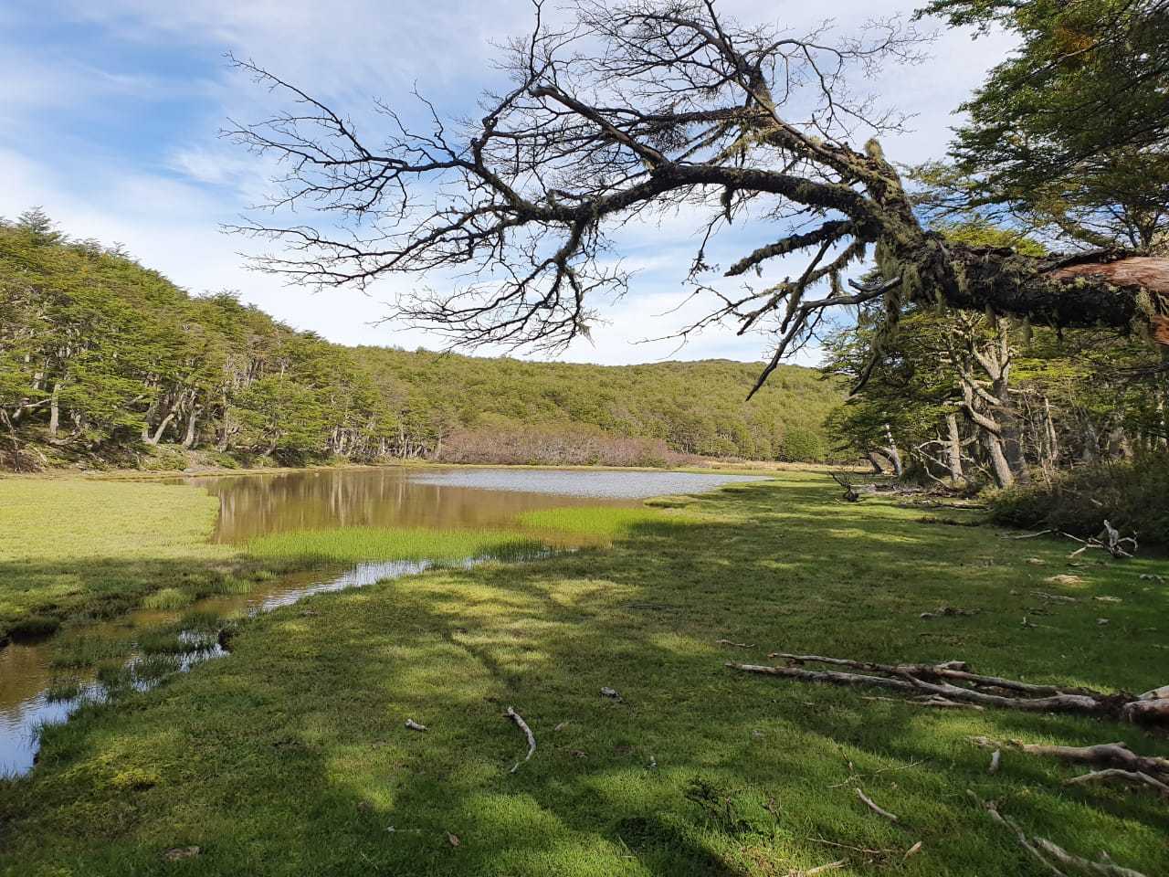 Venta Terreno Coyhaique - Aysén