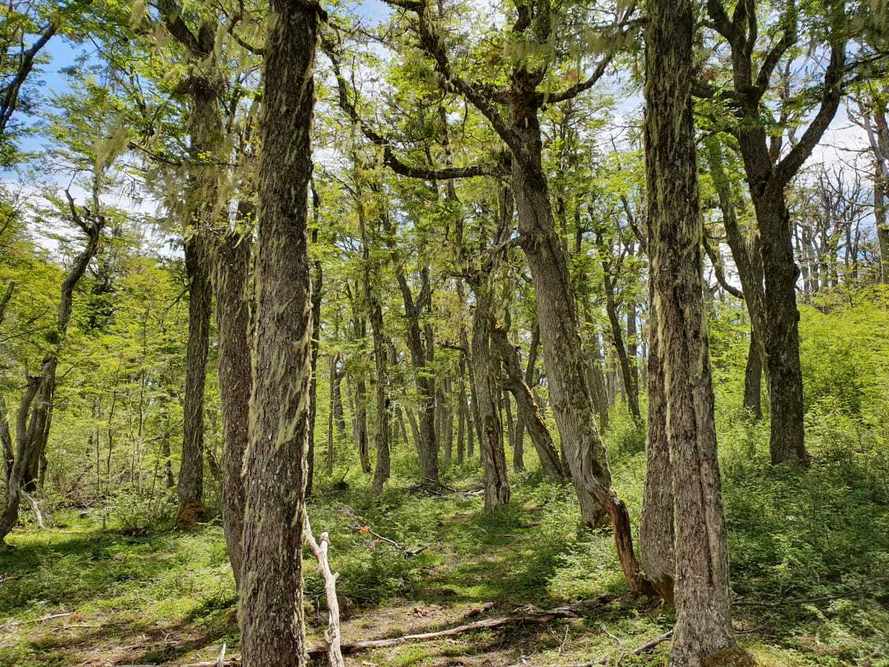 Venta Terreno Coyhaique - Aysén