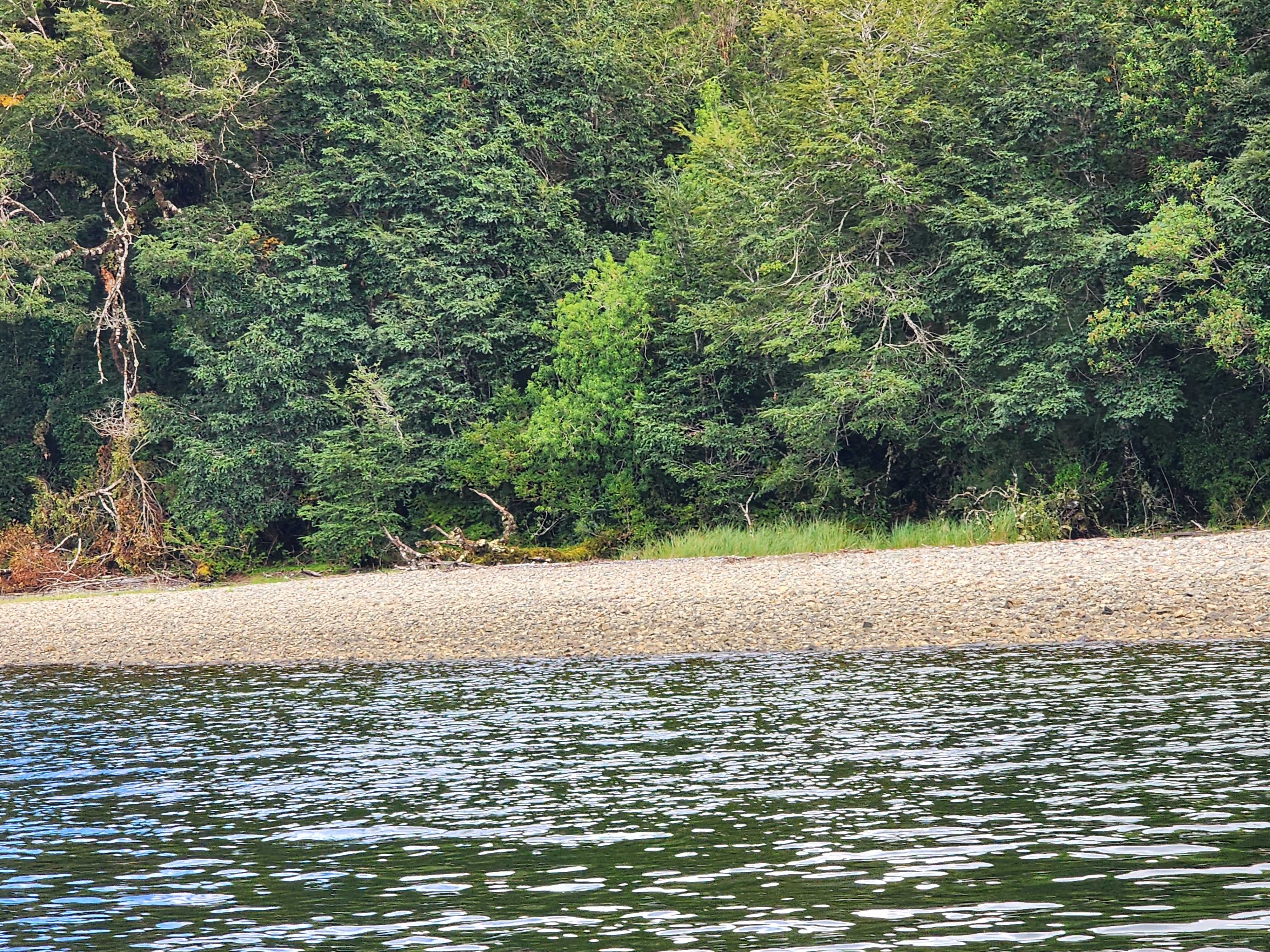 Venta Terreno Cisnes - Aysén
