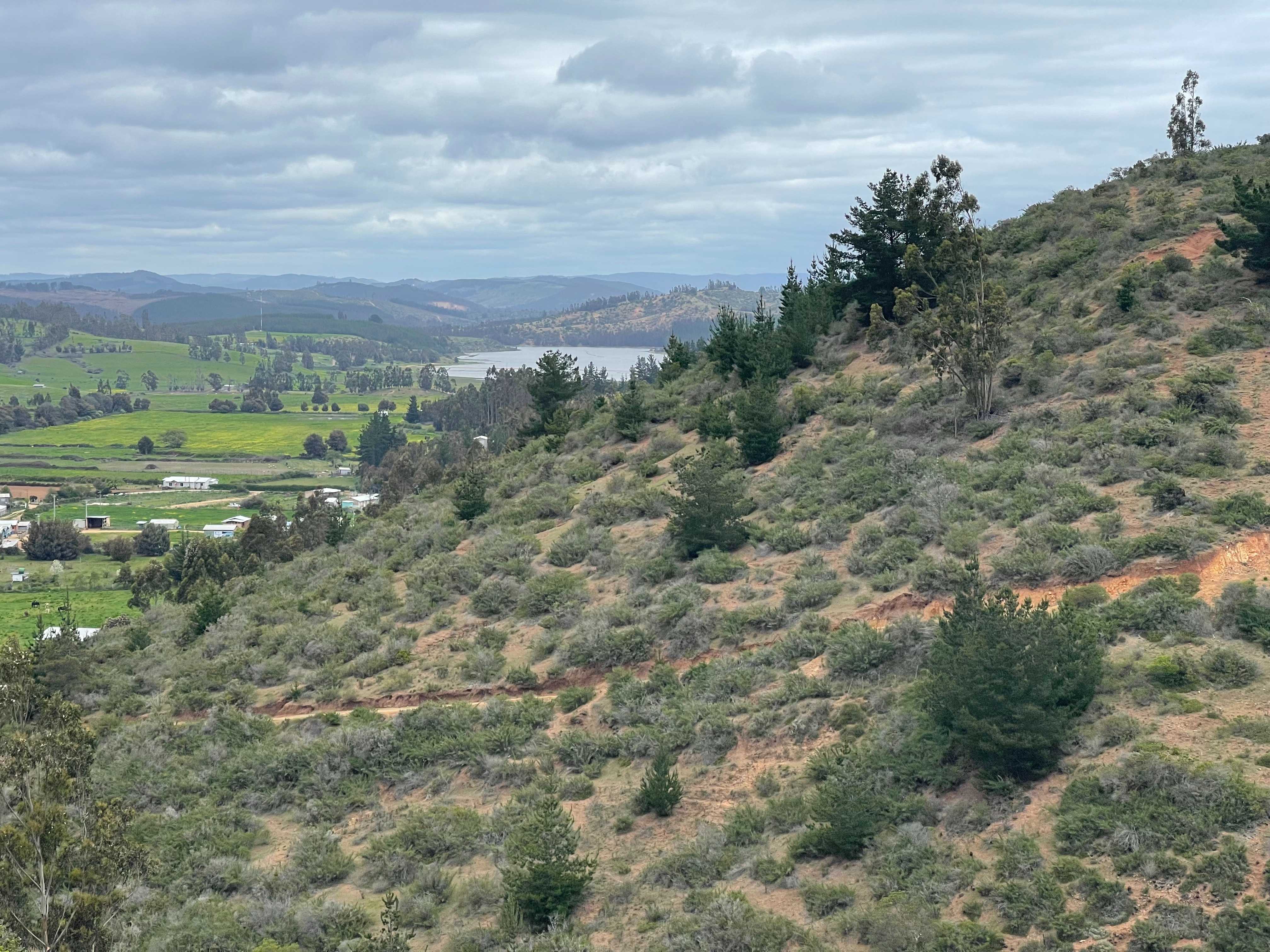 Venta Parcela Paredones - O'Higgins