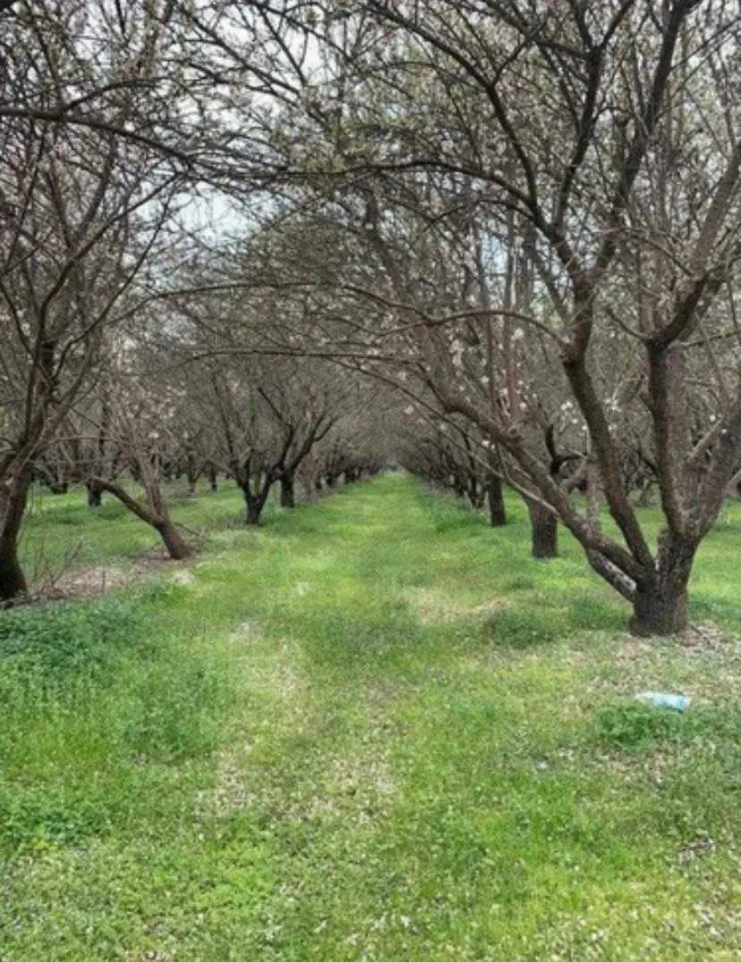 Venta Parcela Curacaví - Región Metropolitana