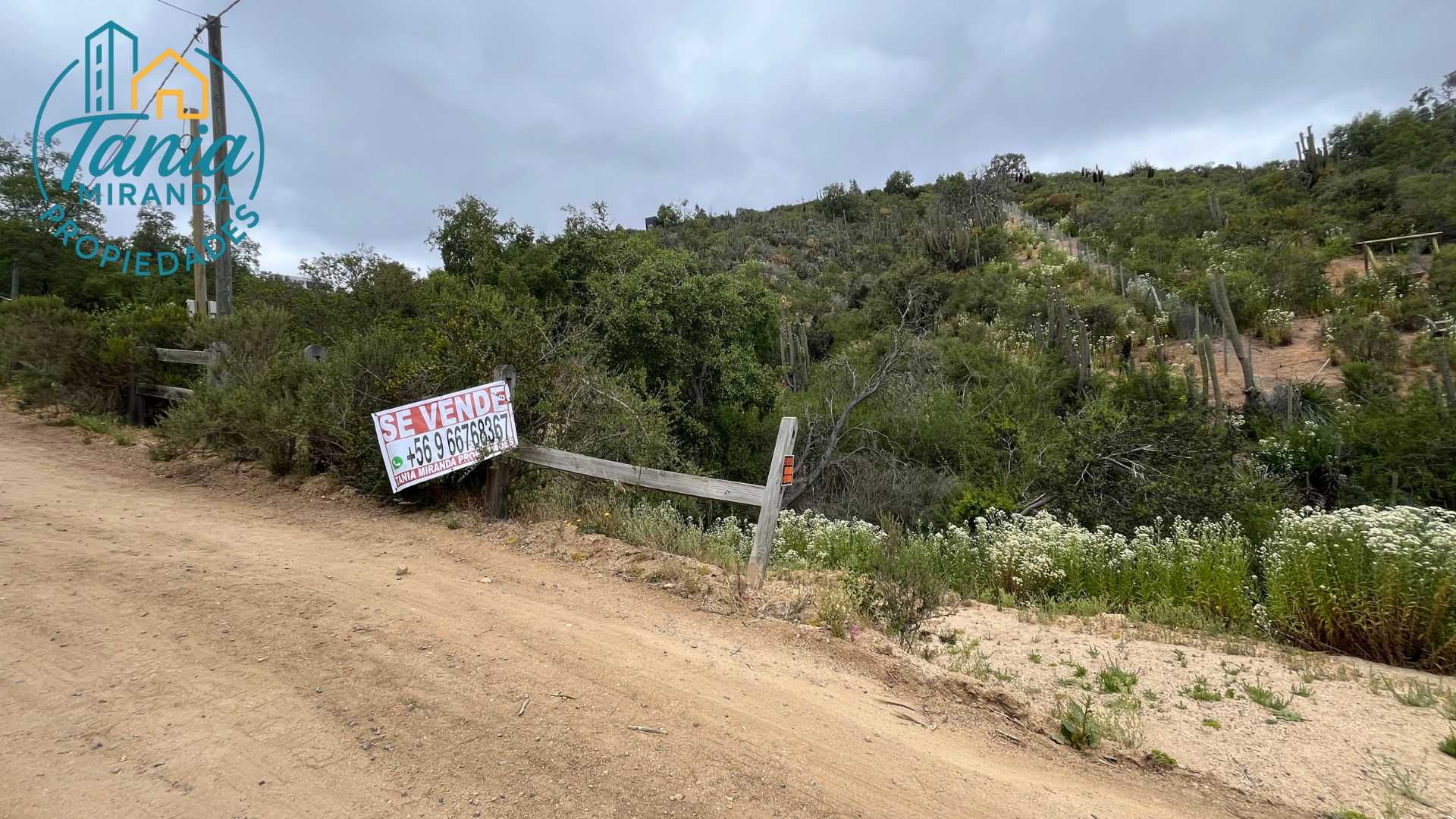 Venta Parcela Casablanca - Valparaíso