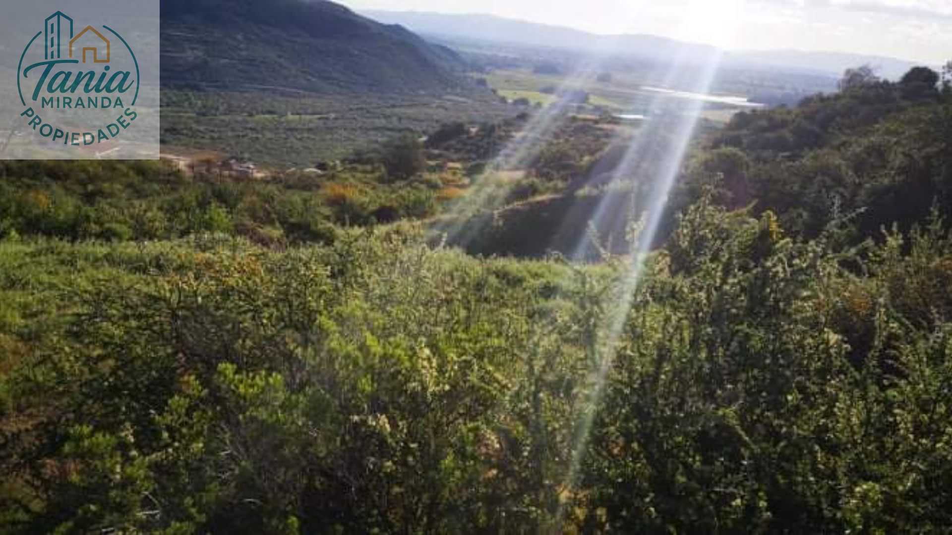 Venta Parcela Curicó - Maule