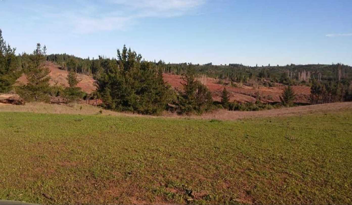 Venta Parcela Yumbel - Biobío