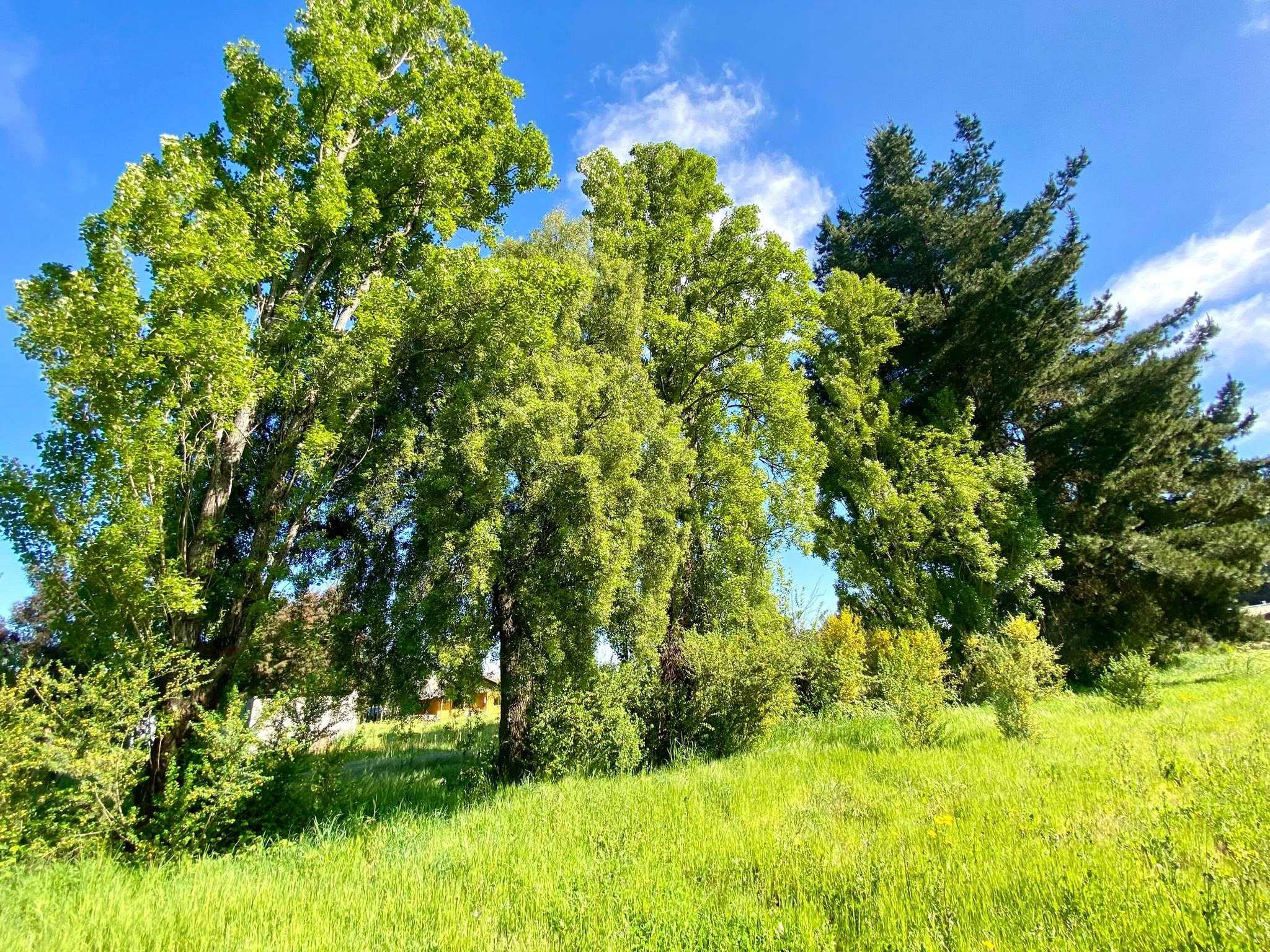 Venta Parcela San Ignacio - Ñuble