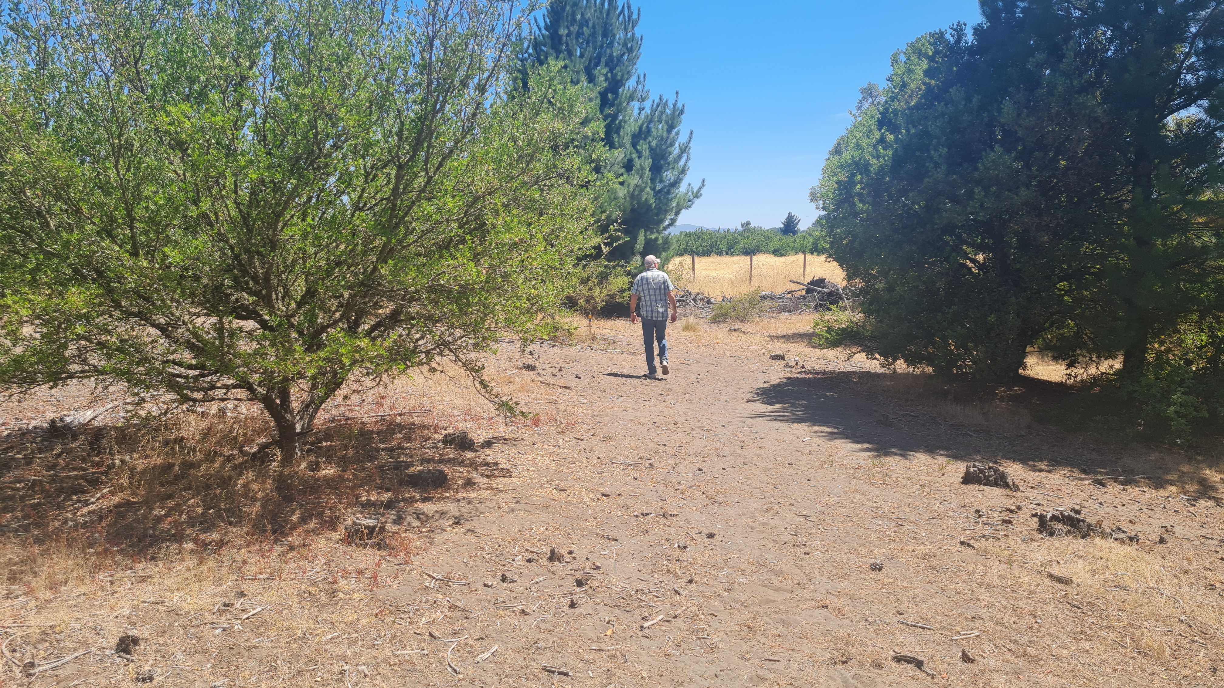 Venta Parcela Quillón - Ñuble
