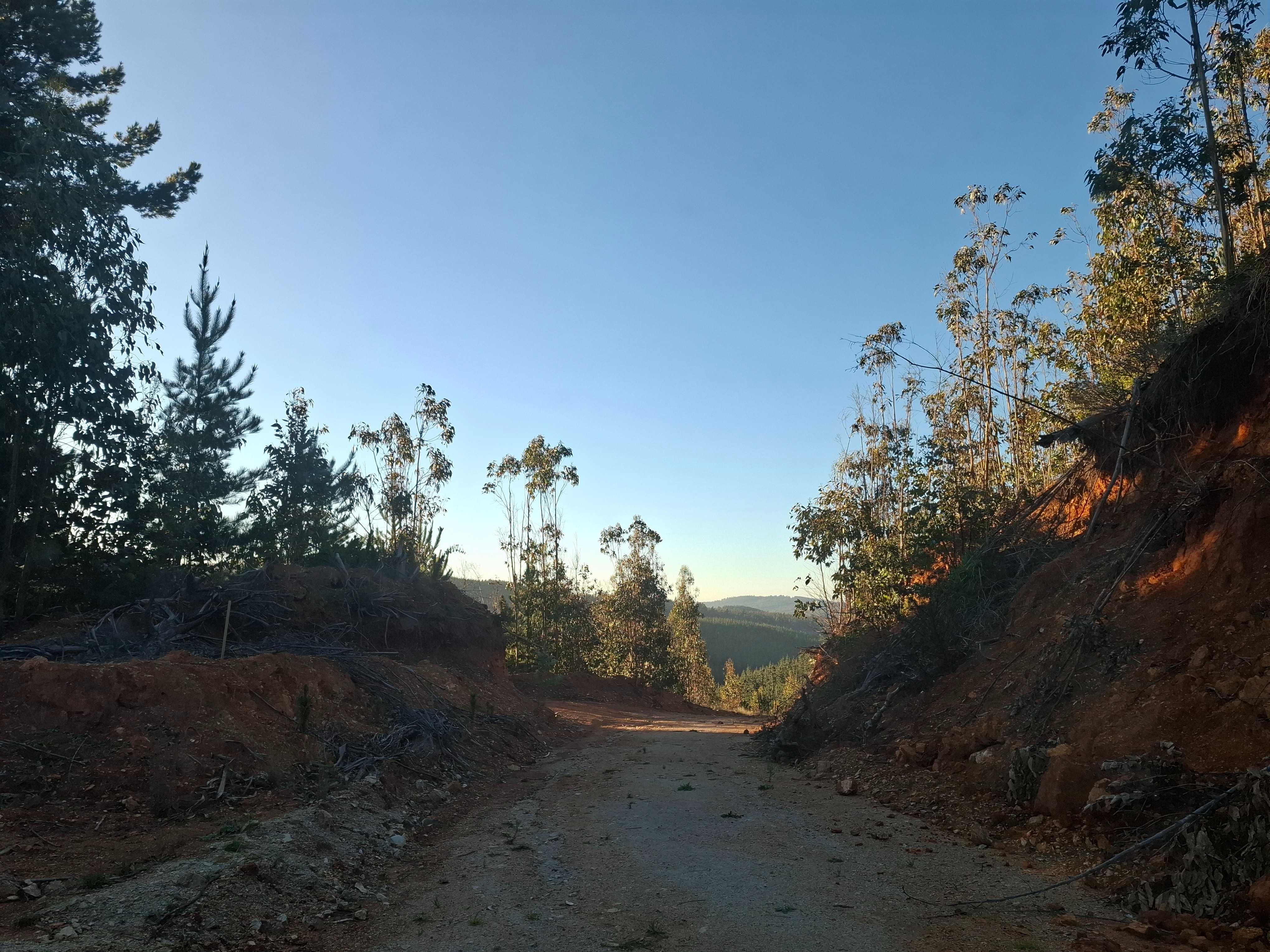 Venta Parcela Pichilemu - O'Higgins